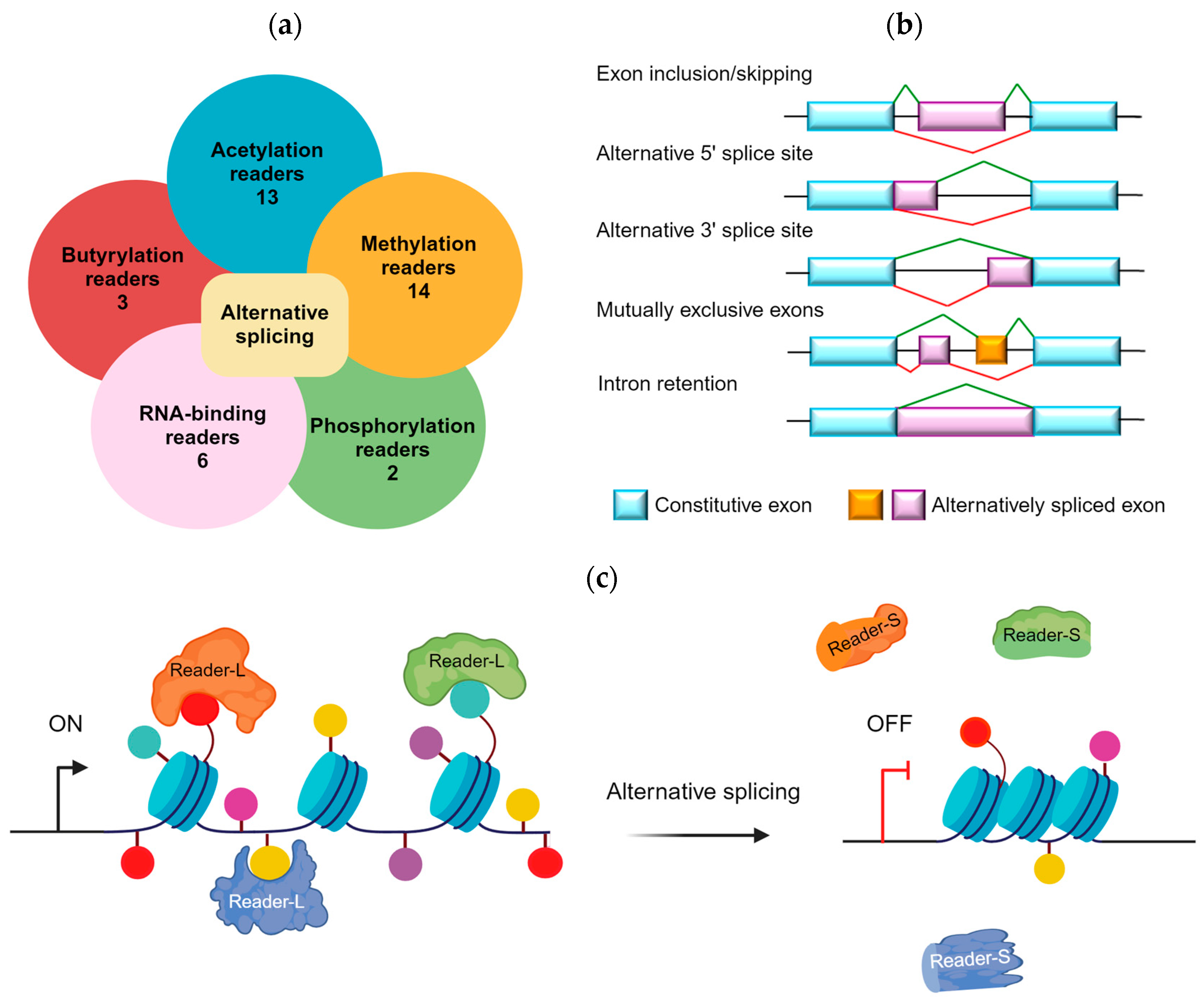 Cancers 16 01104 g001