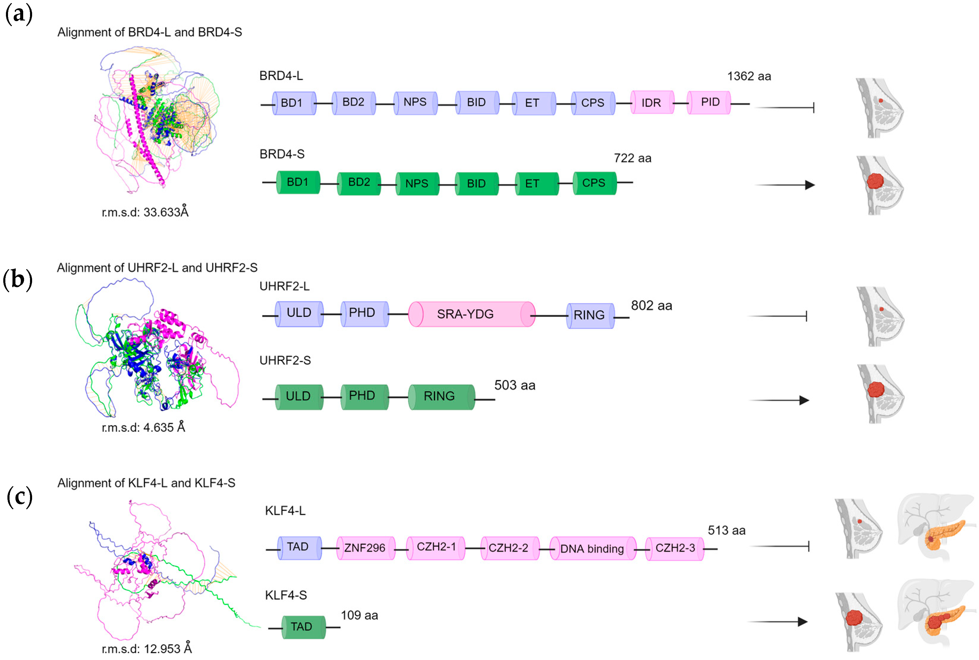 Cancers 16 01104 g003