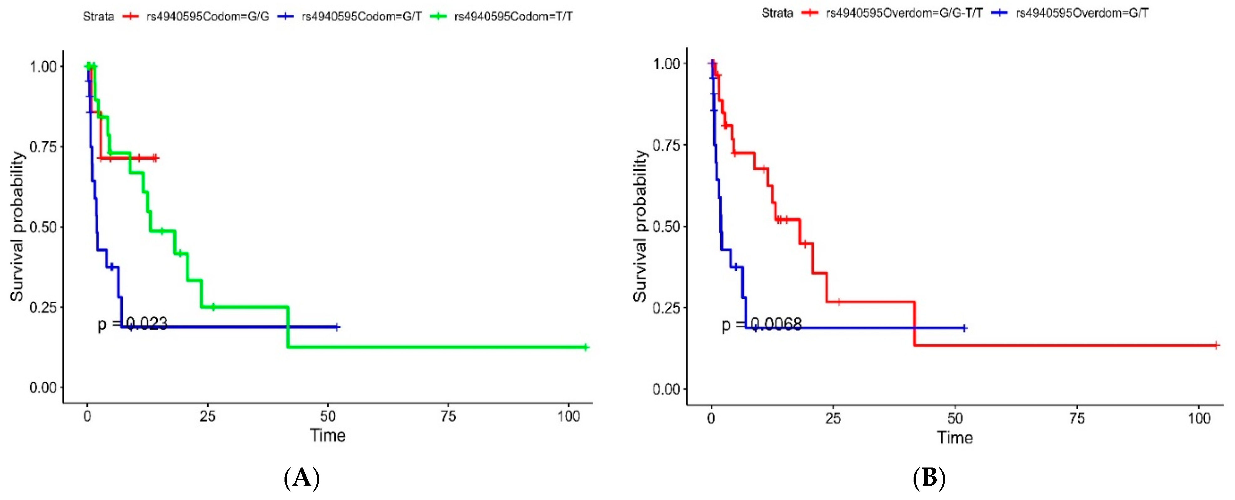 Cancers 16 01112 g001 Cancers 16 01112 g001