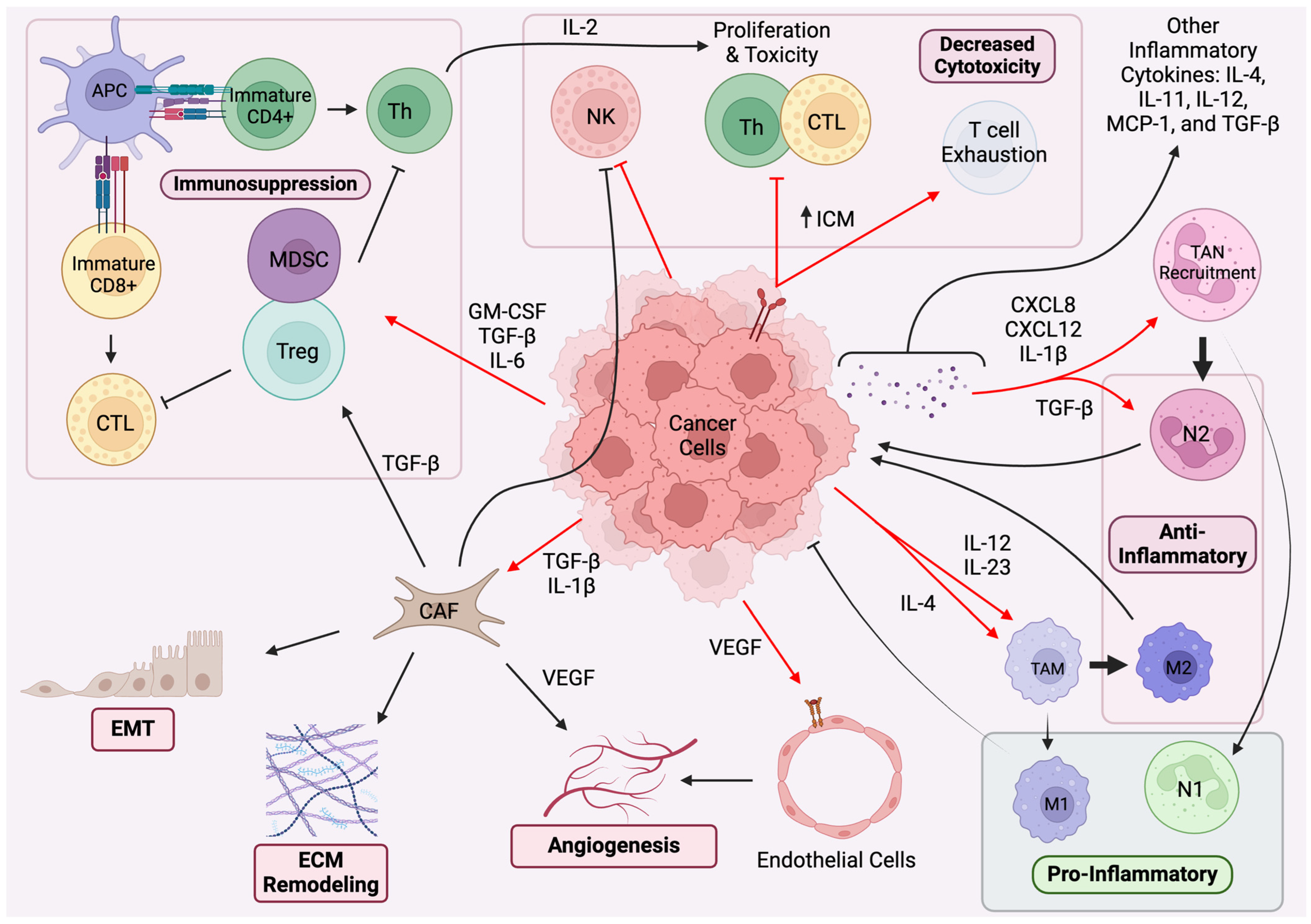 Cancers 16 01113 g001 Cancers 16 01113 g001