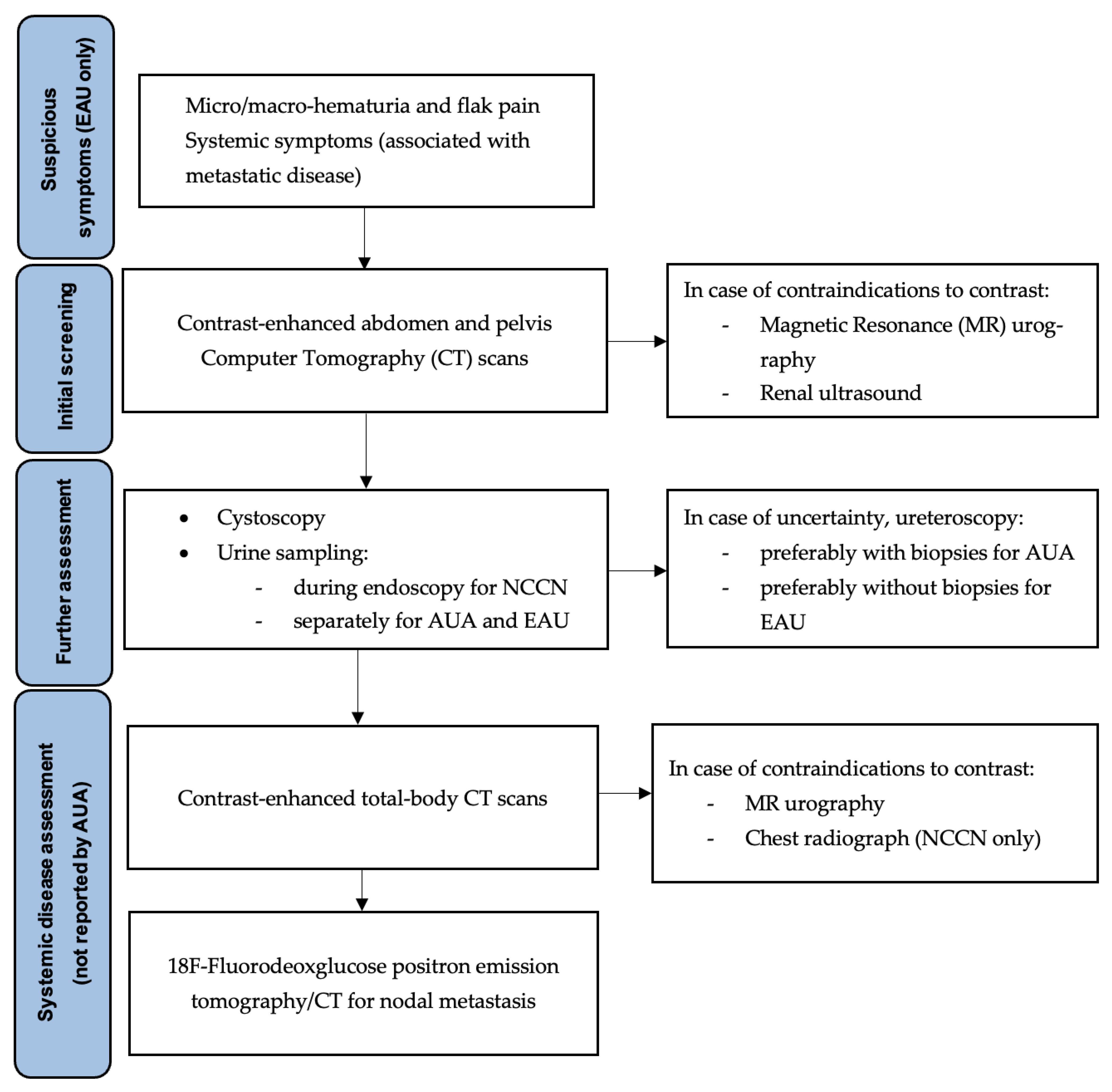 Cancers 16 01115 g001