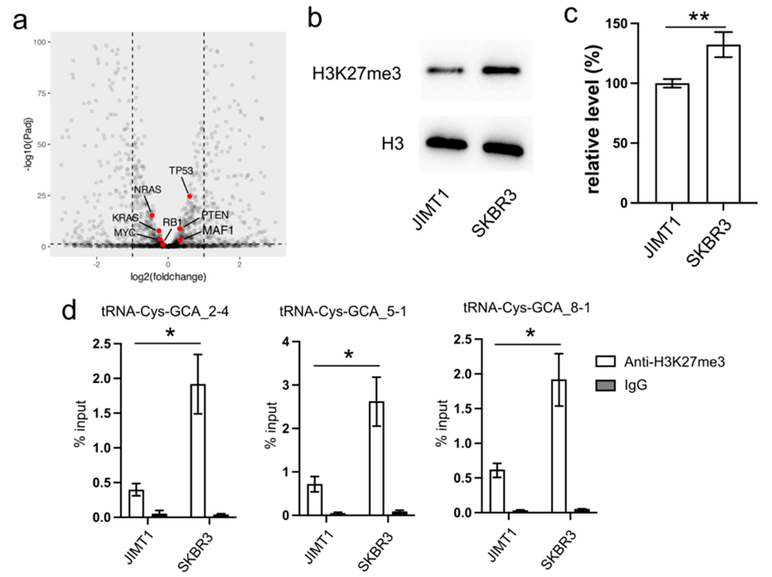 Cancers 16 01118 g002
