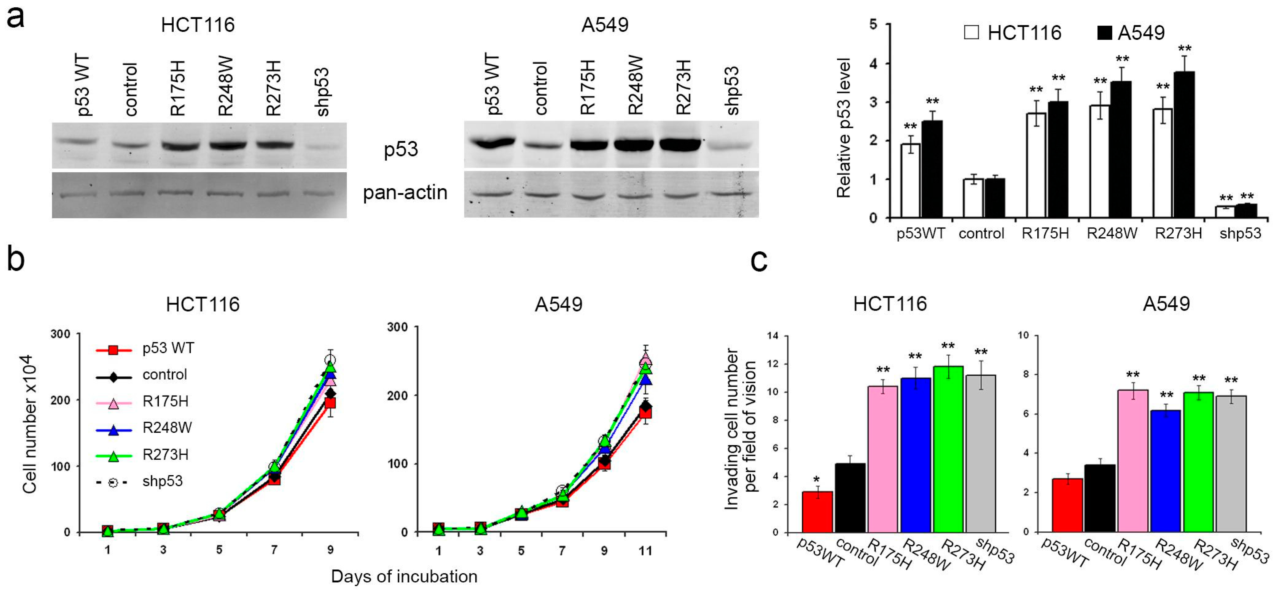 Cancers 16 01123 g001