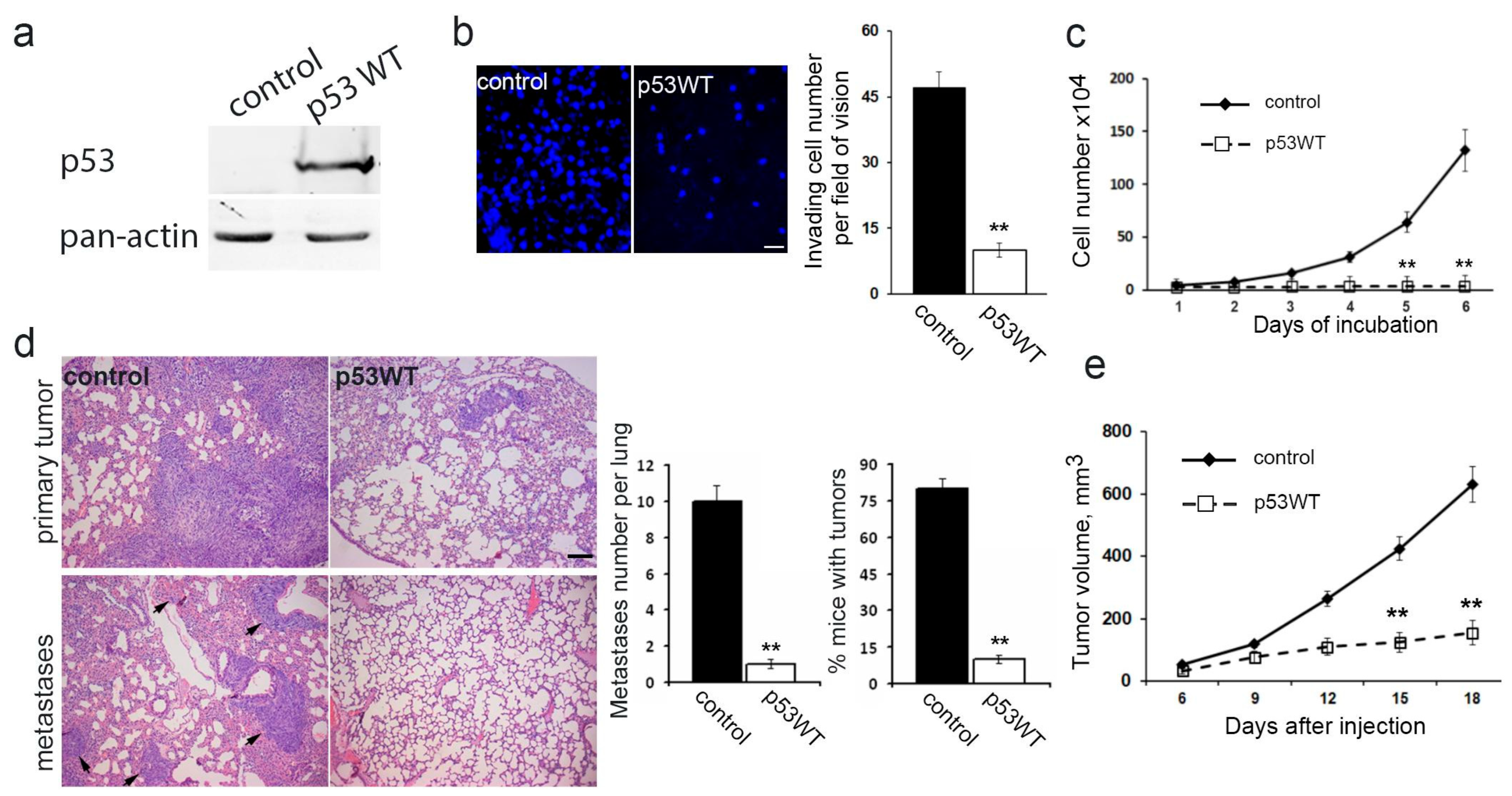 Cancers 16 01123 g004