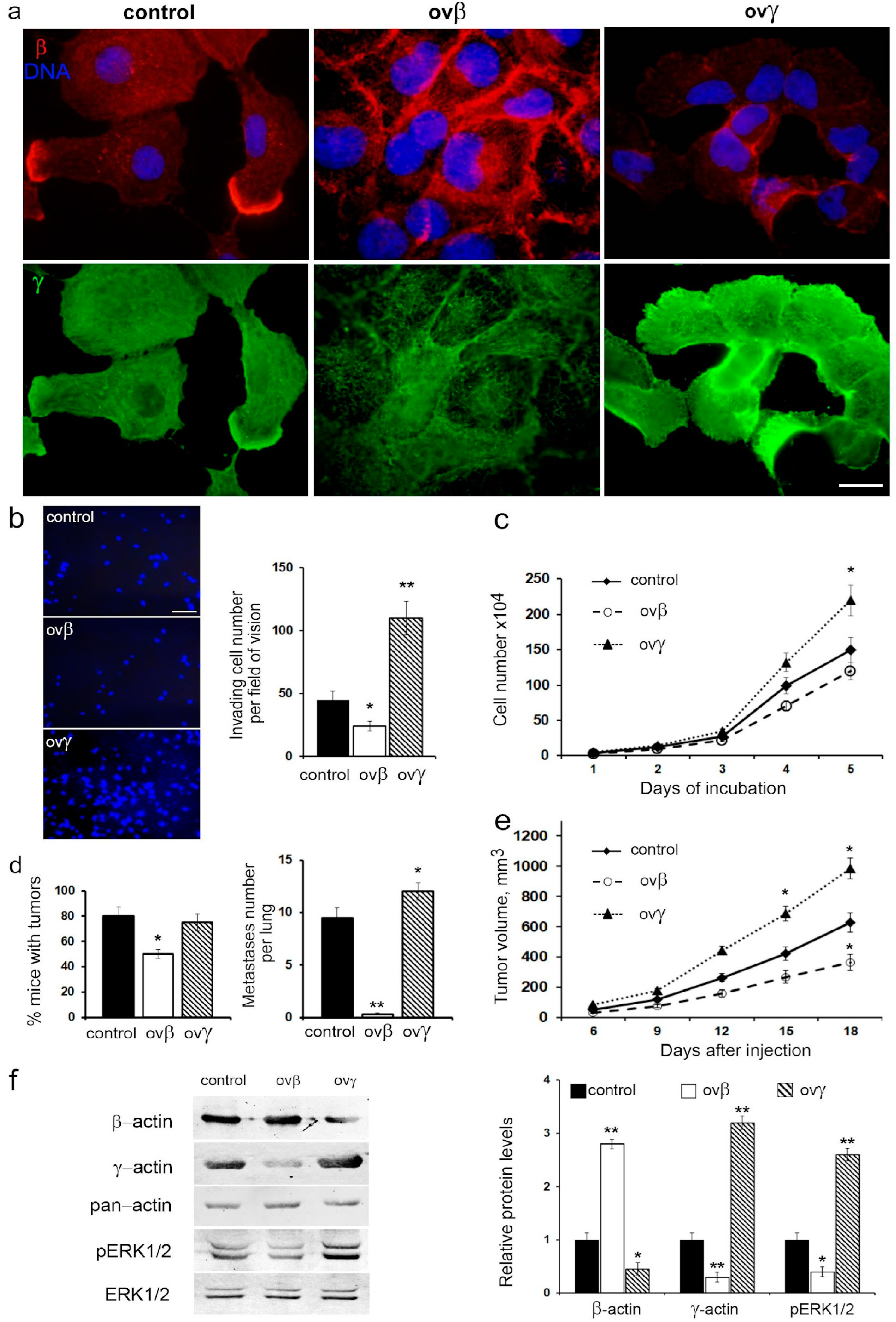 Cancers 16 01123 g007
