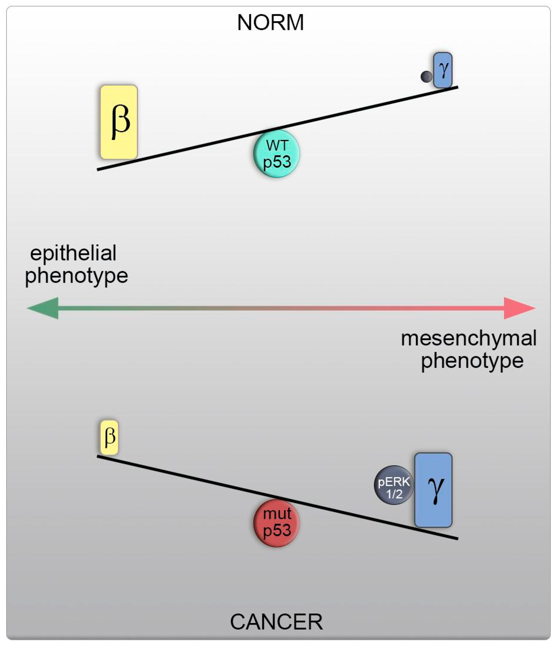 Cancers 16 01123 g008