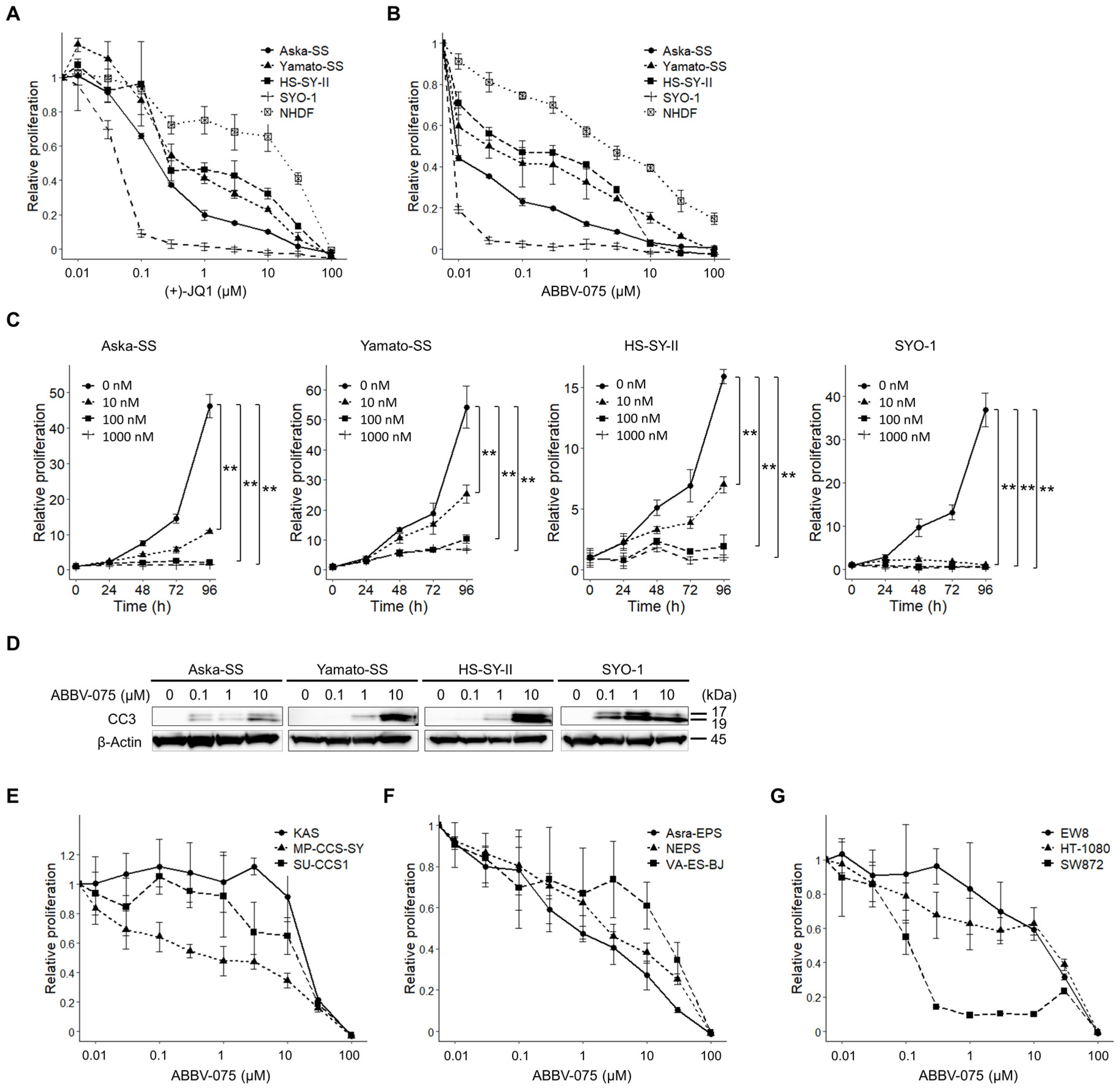 Cancers 16 01125 g001