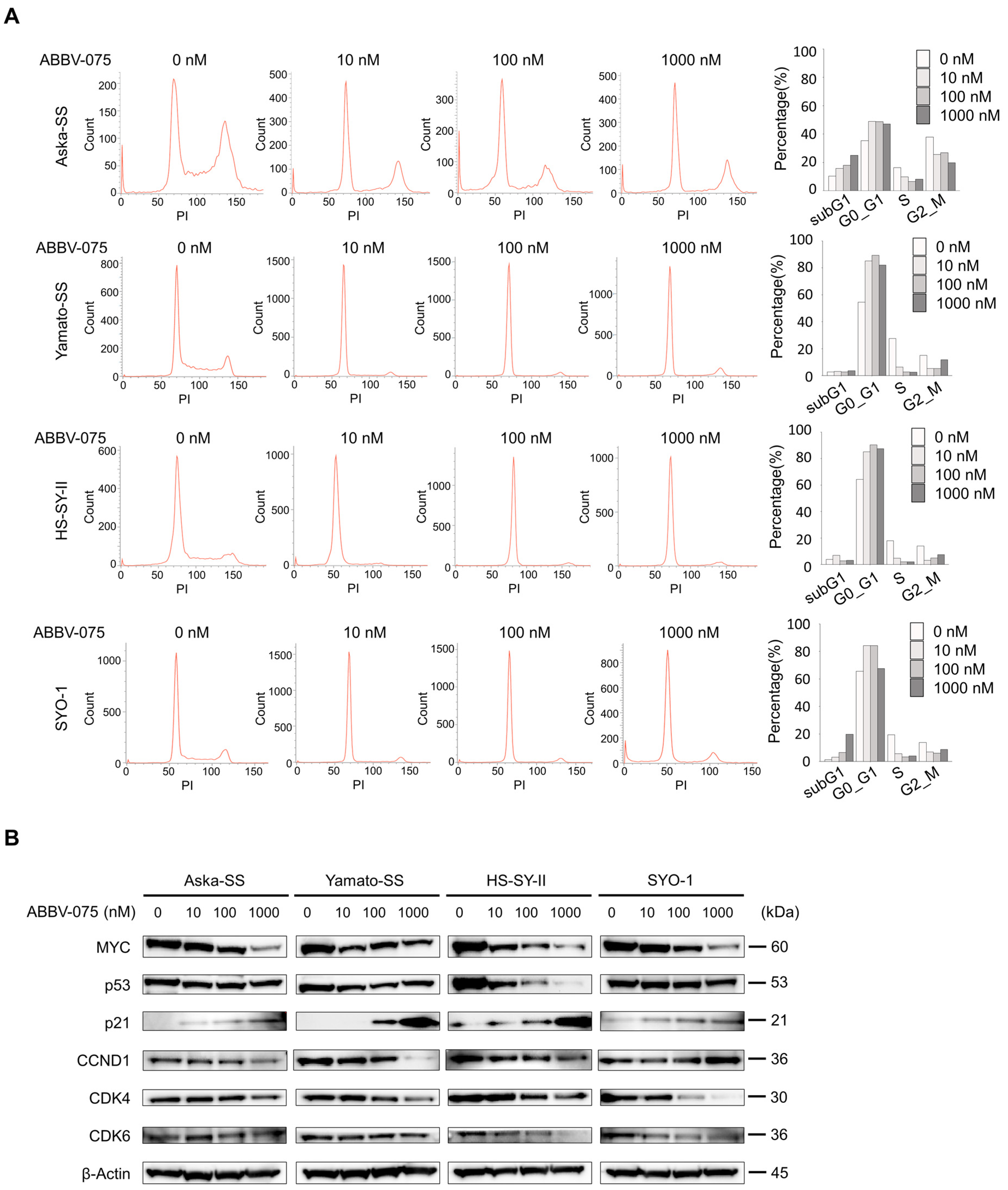 Cancers 16 01125 g003