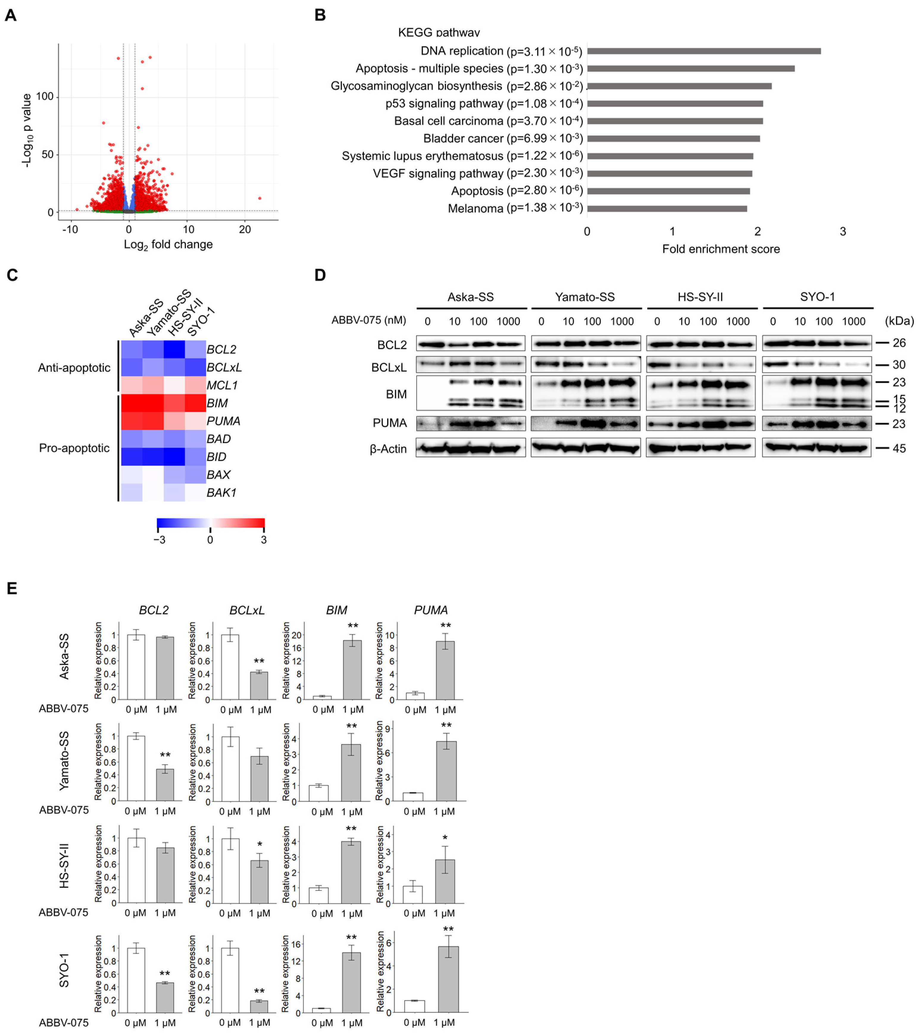 Cancers 16 01125 g004