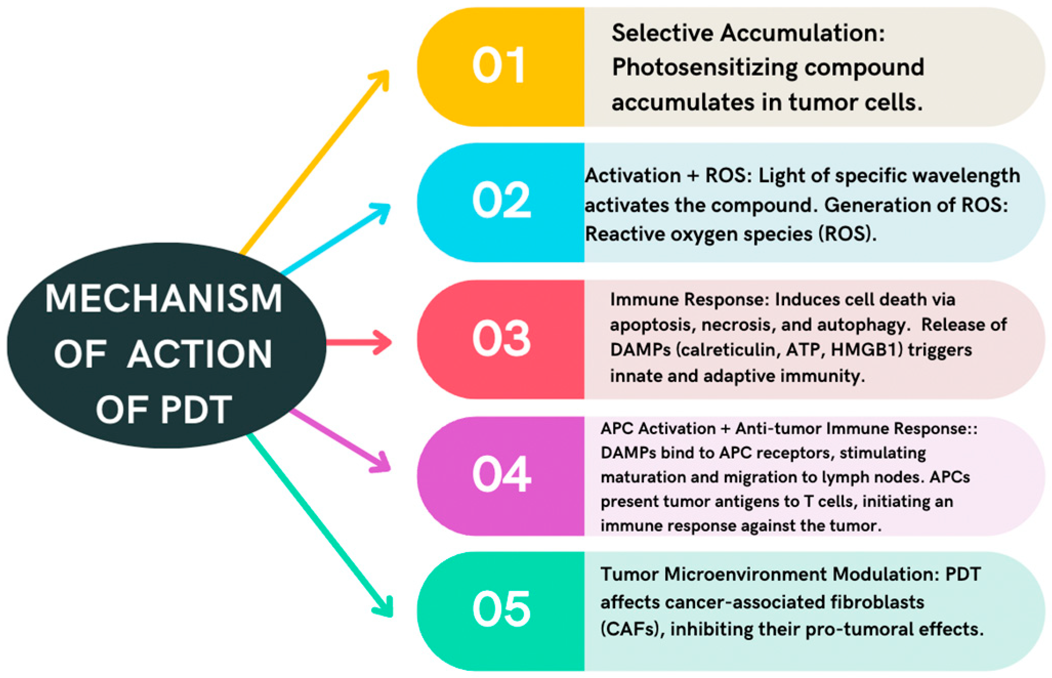 Cancers 16 01133 g001