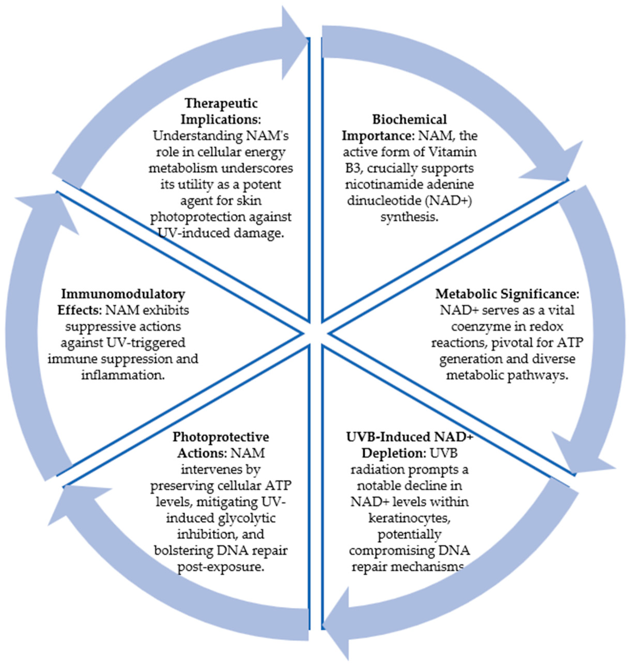 Cancers 16 01133 g002