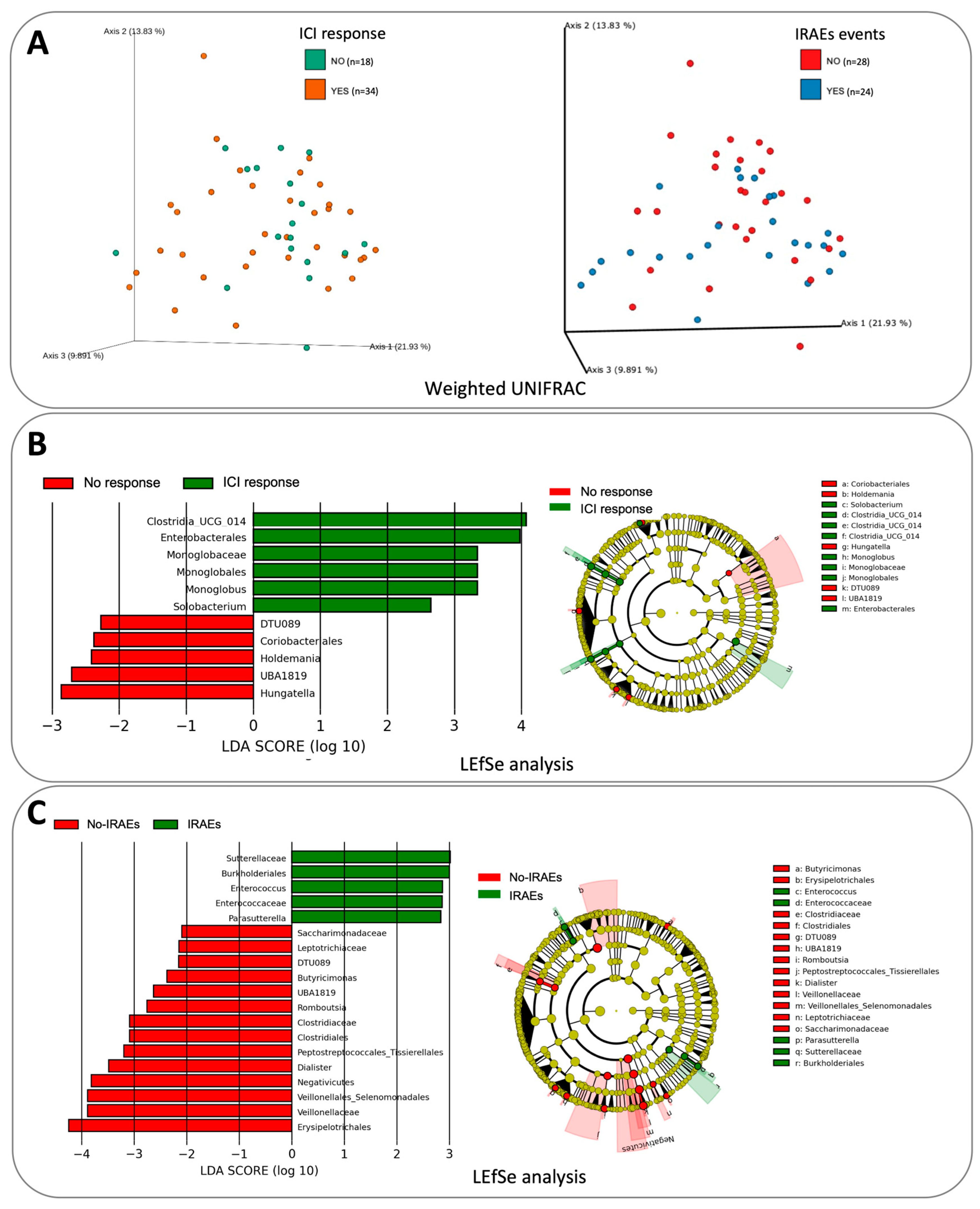 Cancers 16 01144 g002