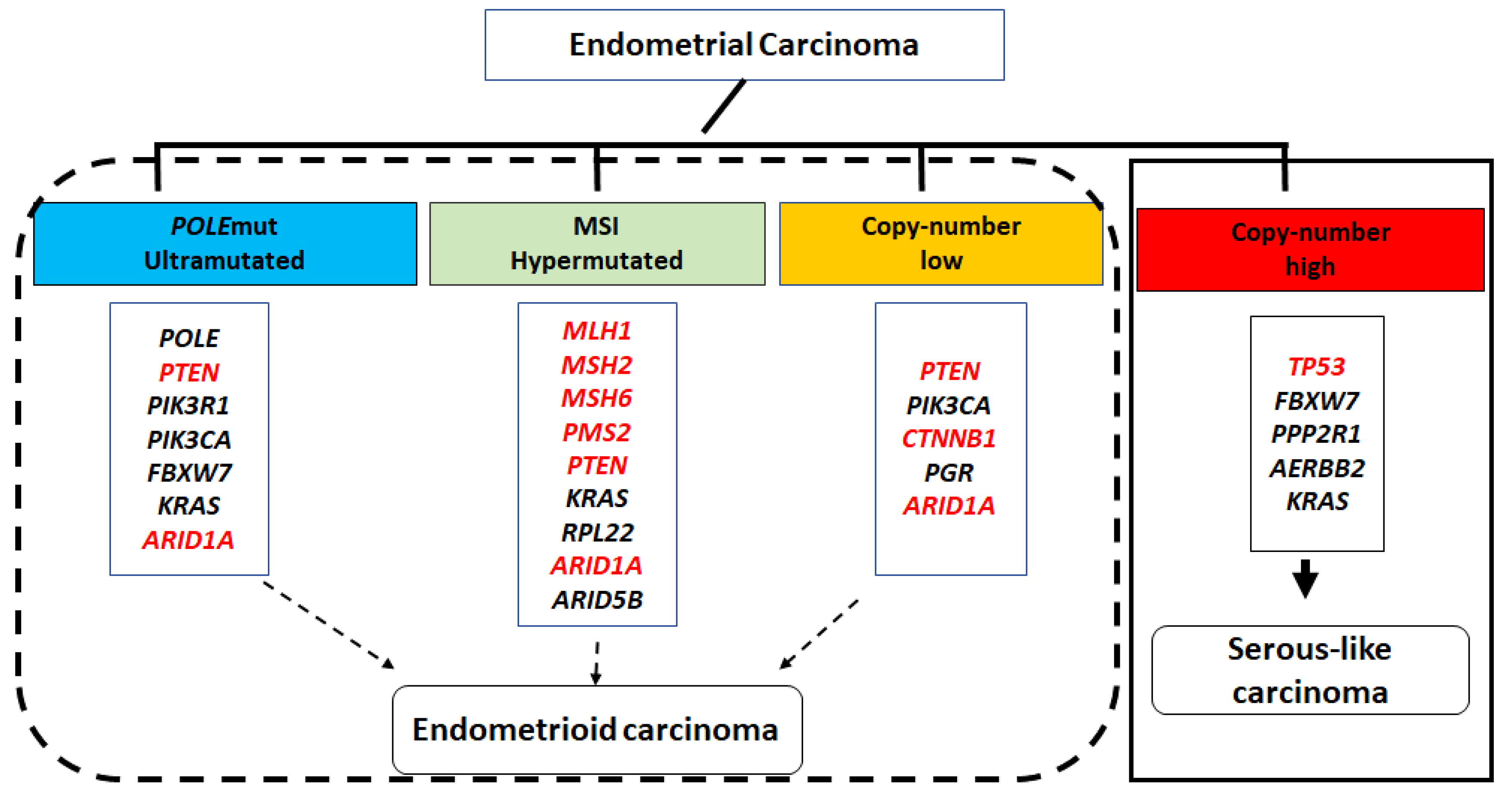 Cancers 16 01159 g001 Cancers 16 01159 g001