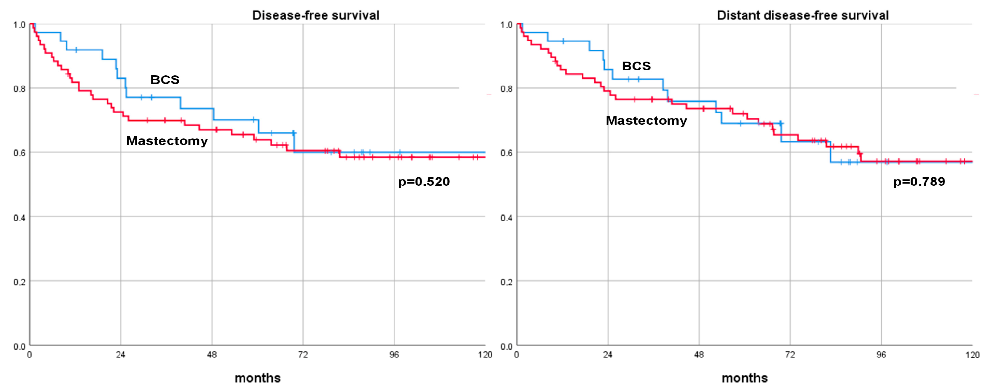 Cancers 16 01169 g001