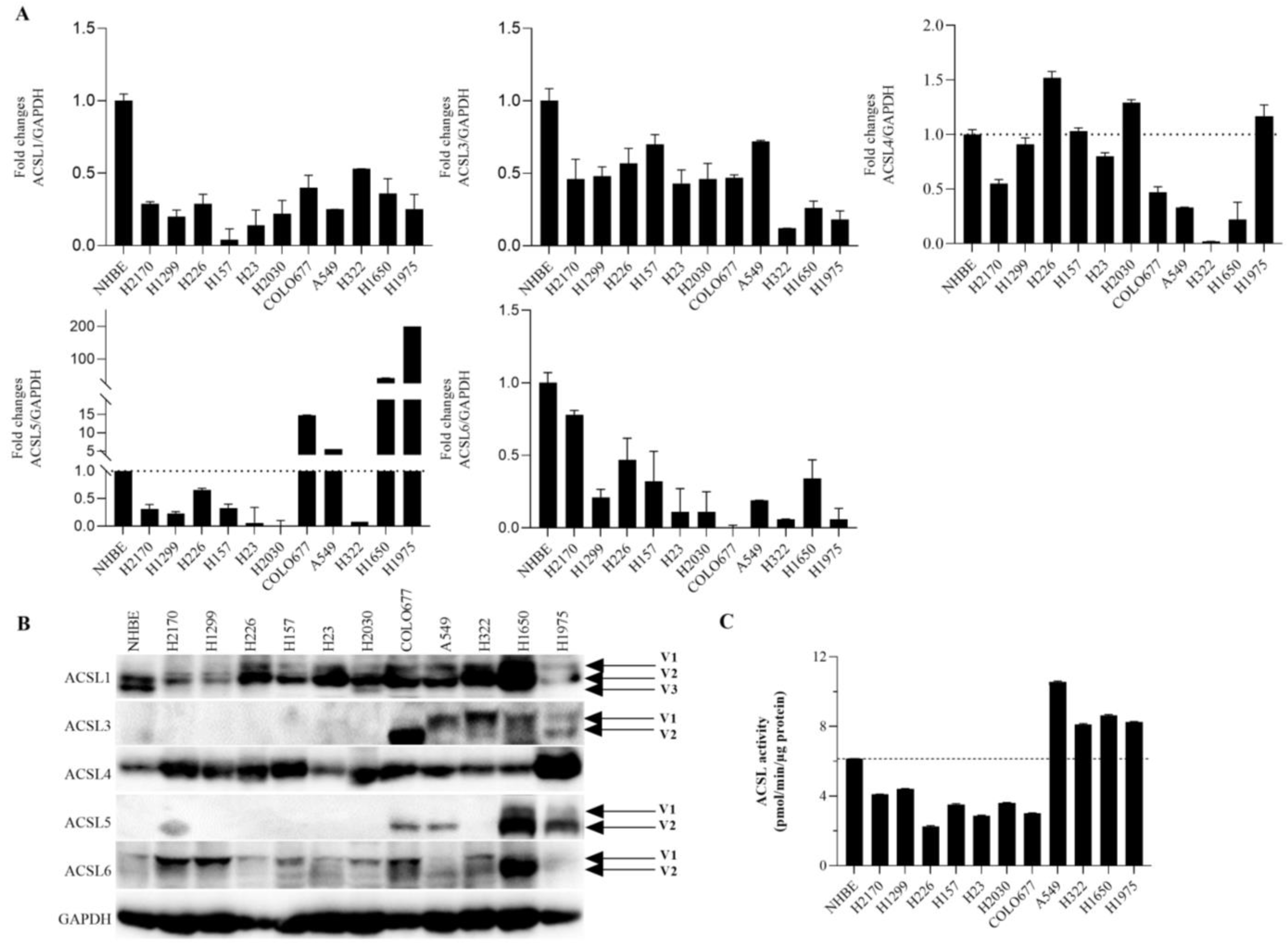 Cancers 16 01170 g001 Cancers 16 01170 g001