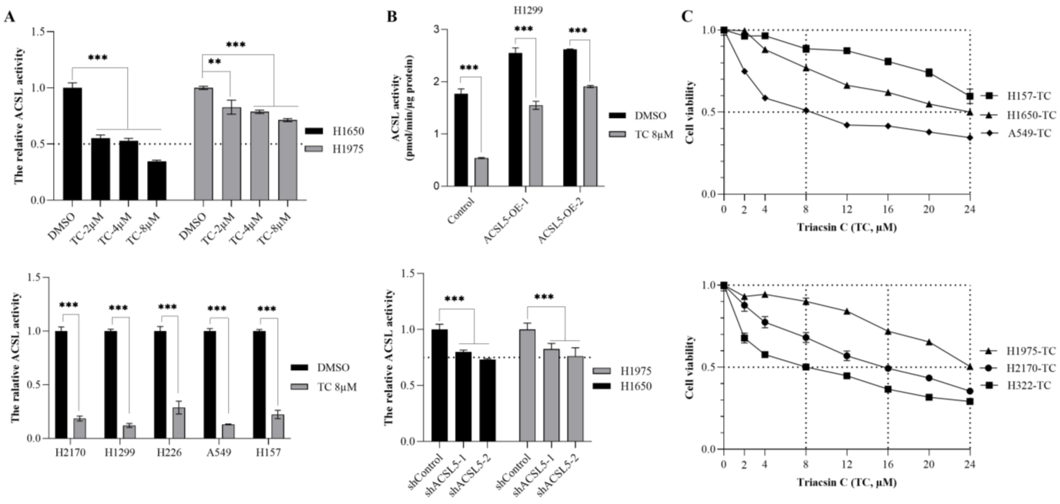 Cancers 16 01170 g004 Cancers 16 01170 g004