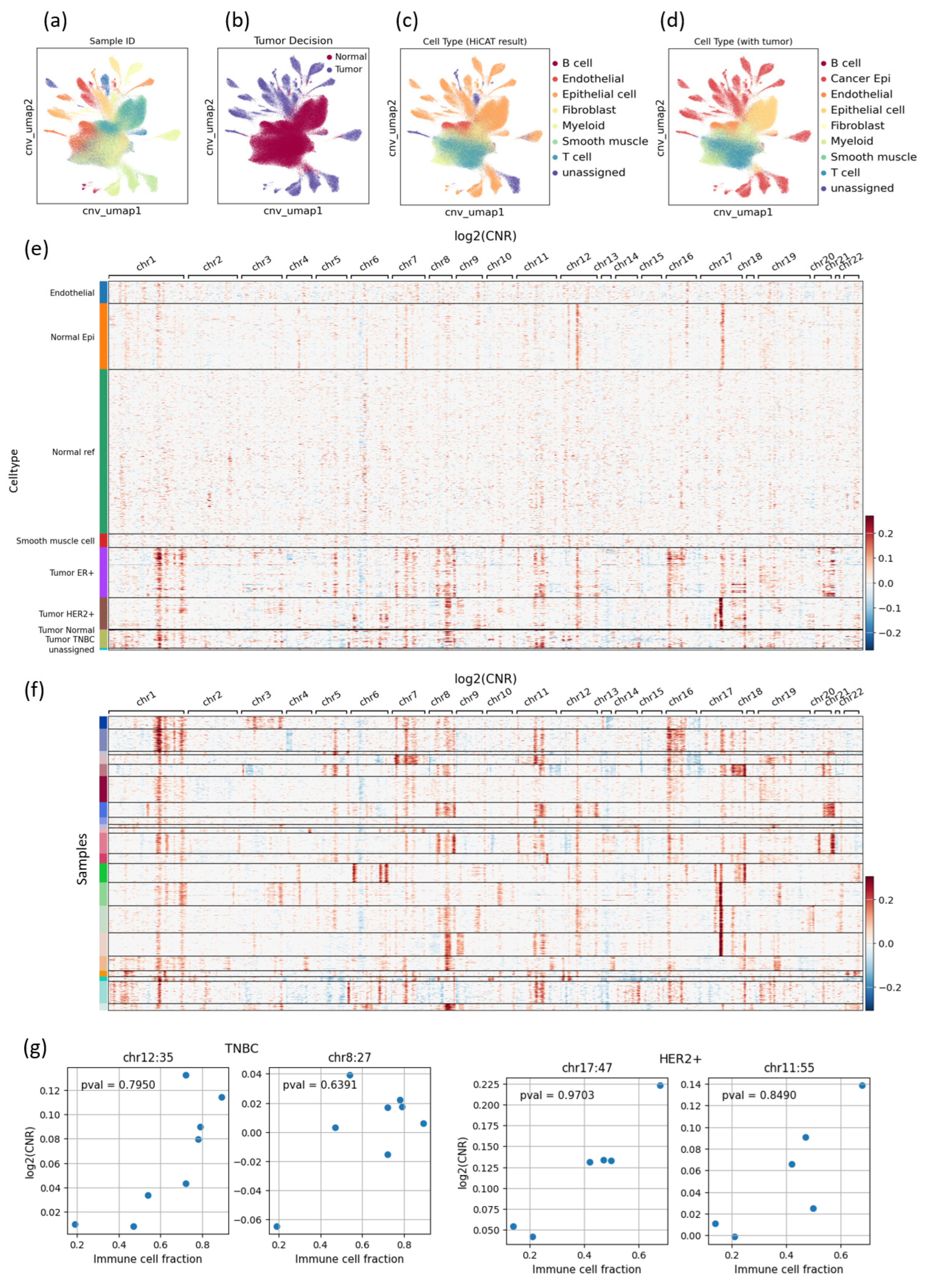 Cancers 16 01173 g003 Cancers 16 01173 g003