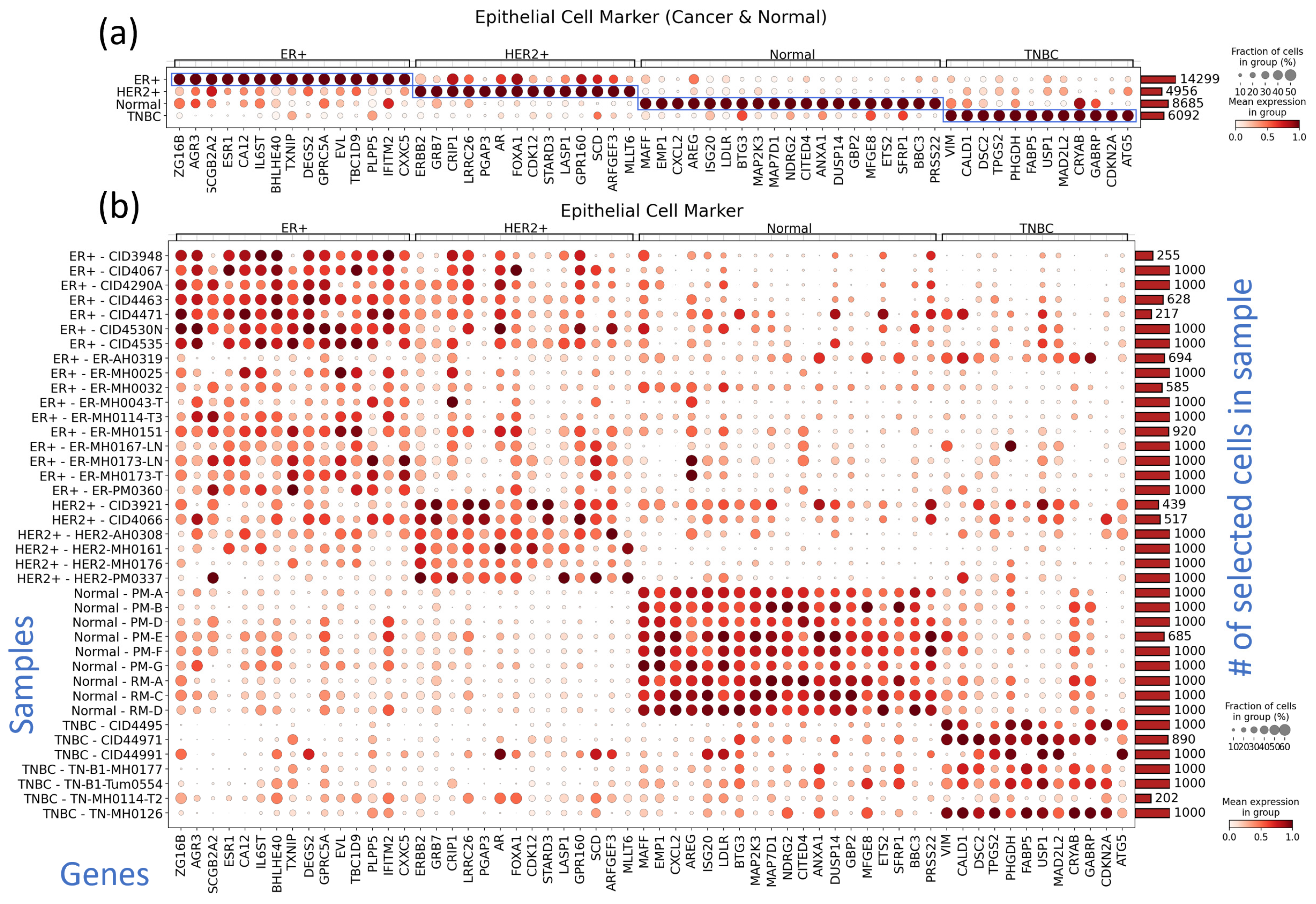 Cancers 16 01173 g004 Cancers 16 01173 g004