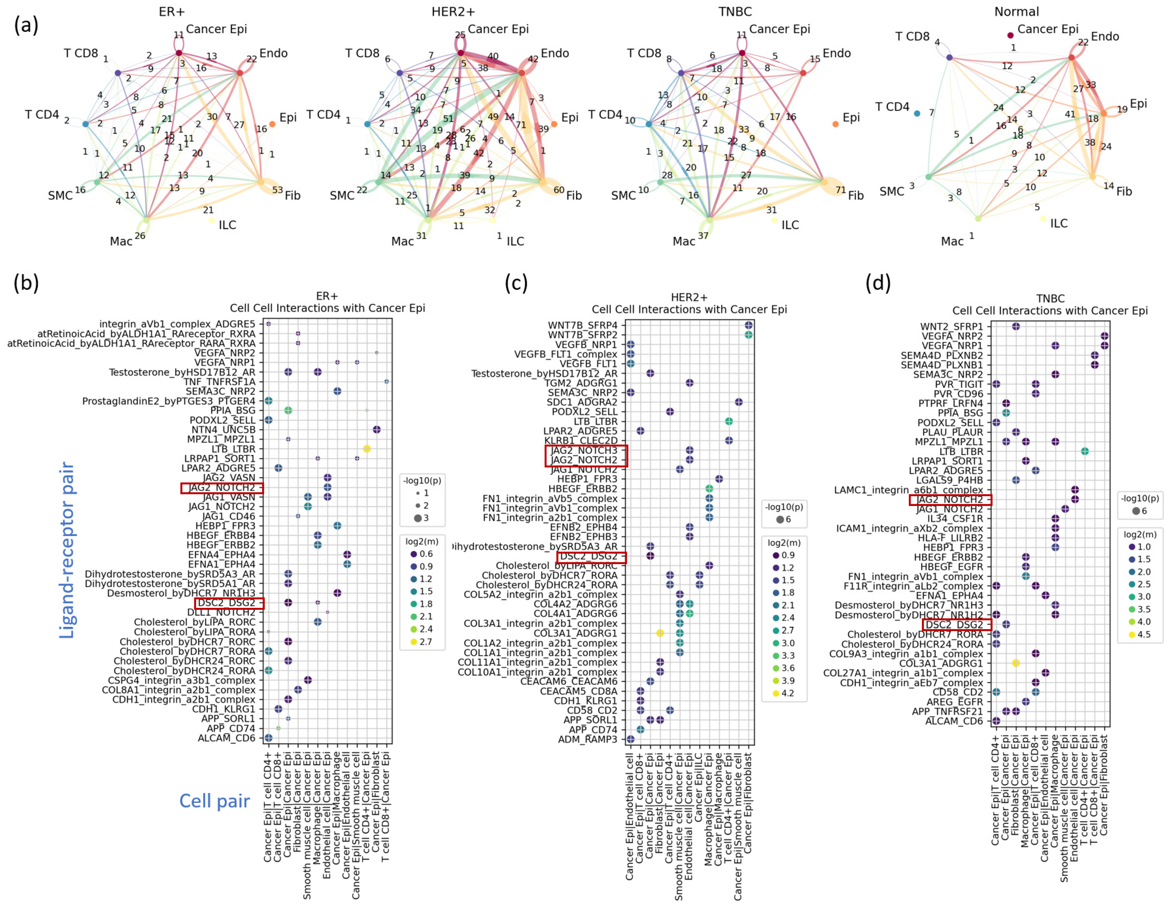 Cancers 16 01173 g005 Cancers 16 01173 g005