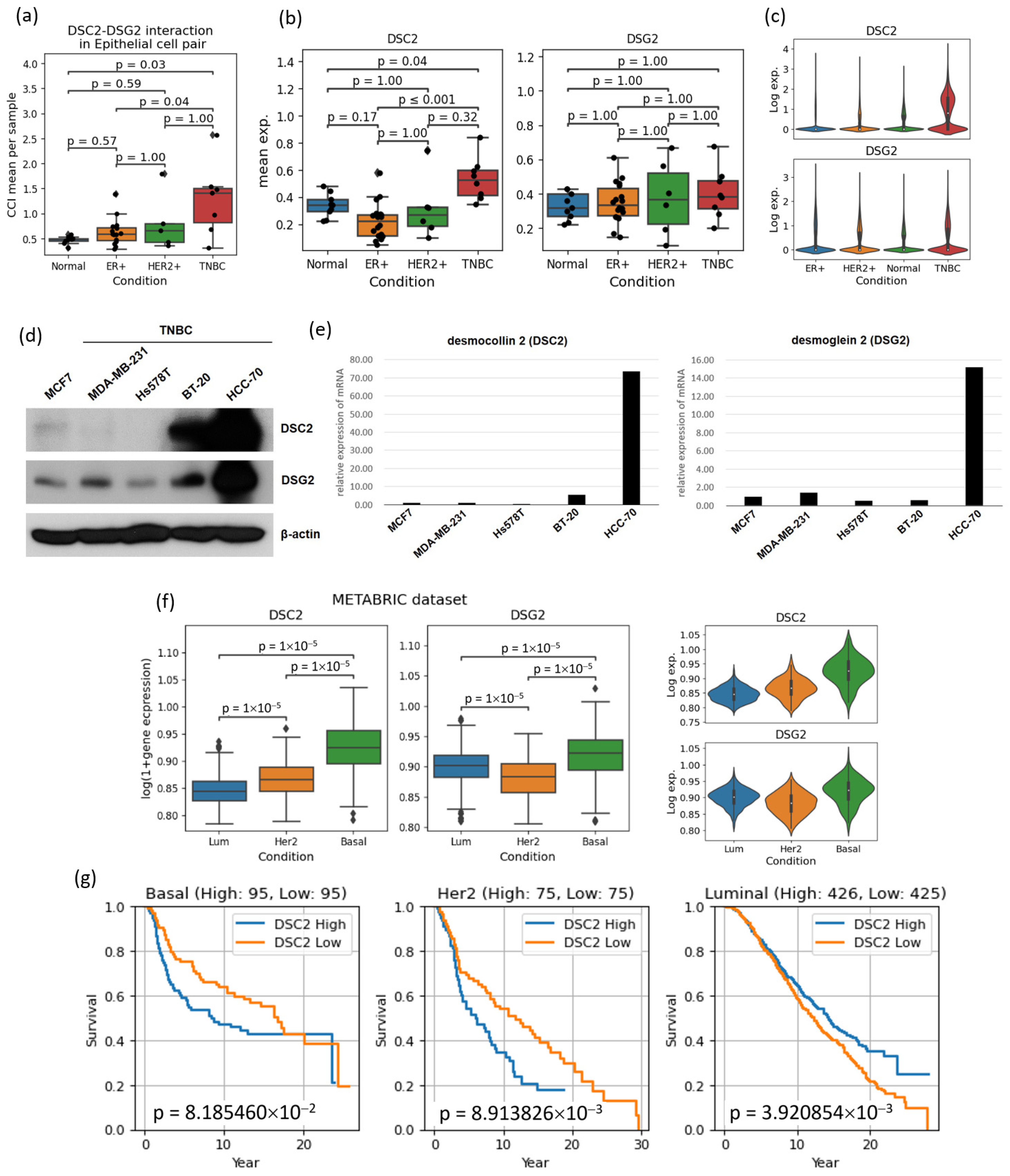 Cancers 16 01173 g006 Cancers 16 01173 g006