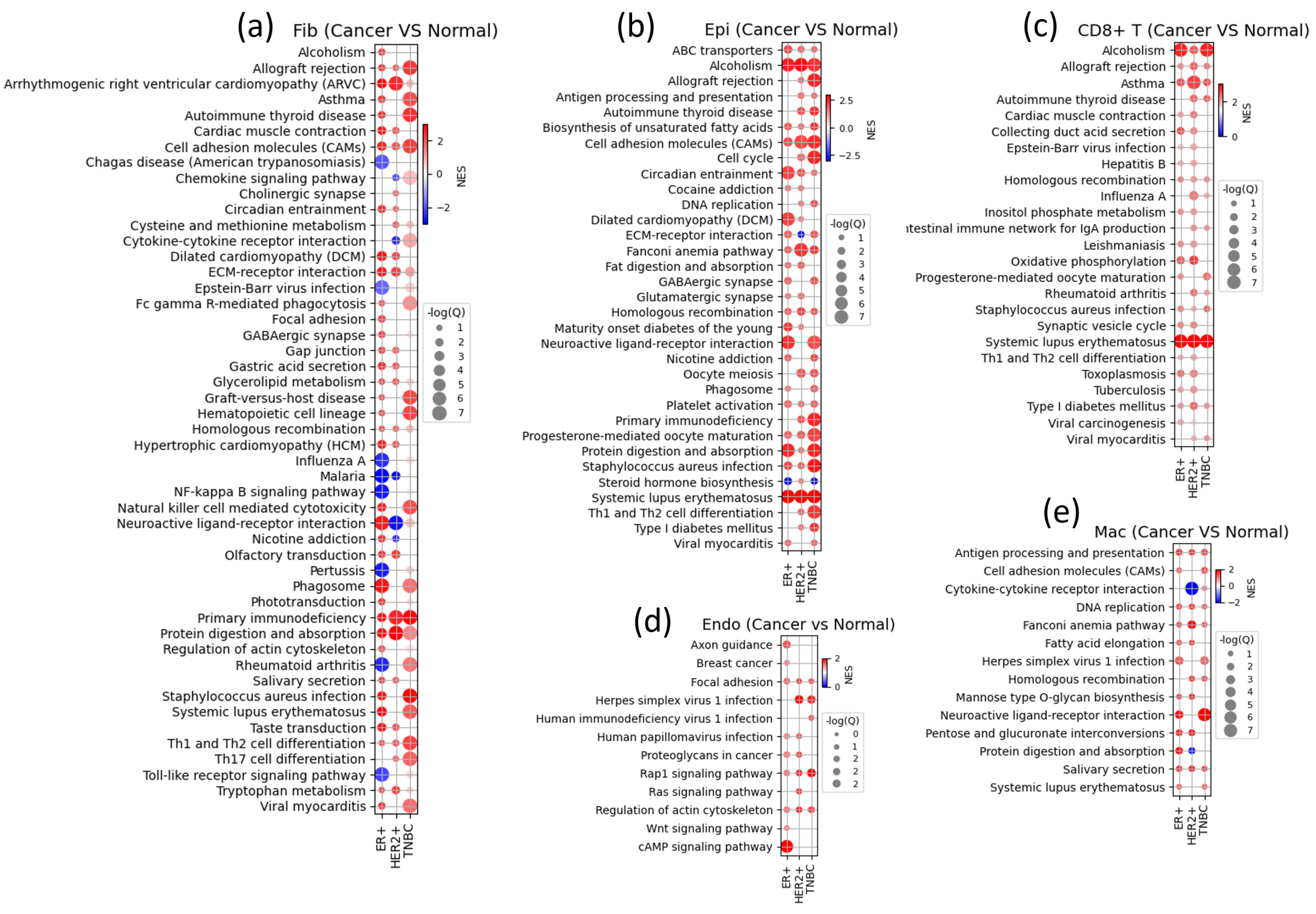 Cancers 16 01173 g007 Cancers 16 01173 g007