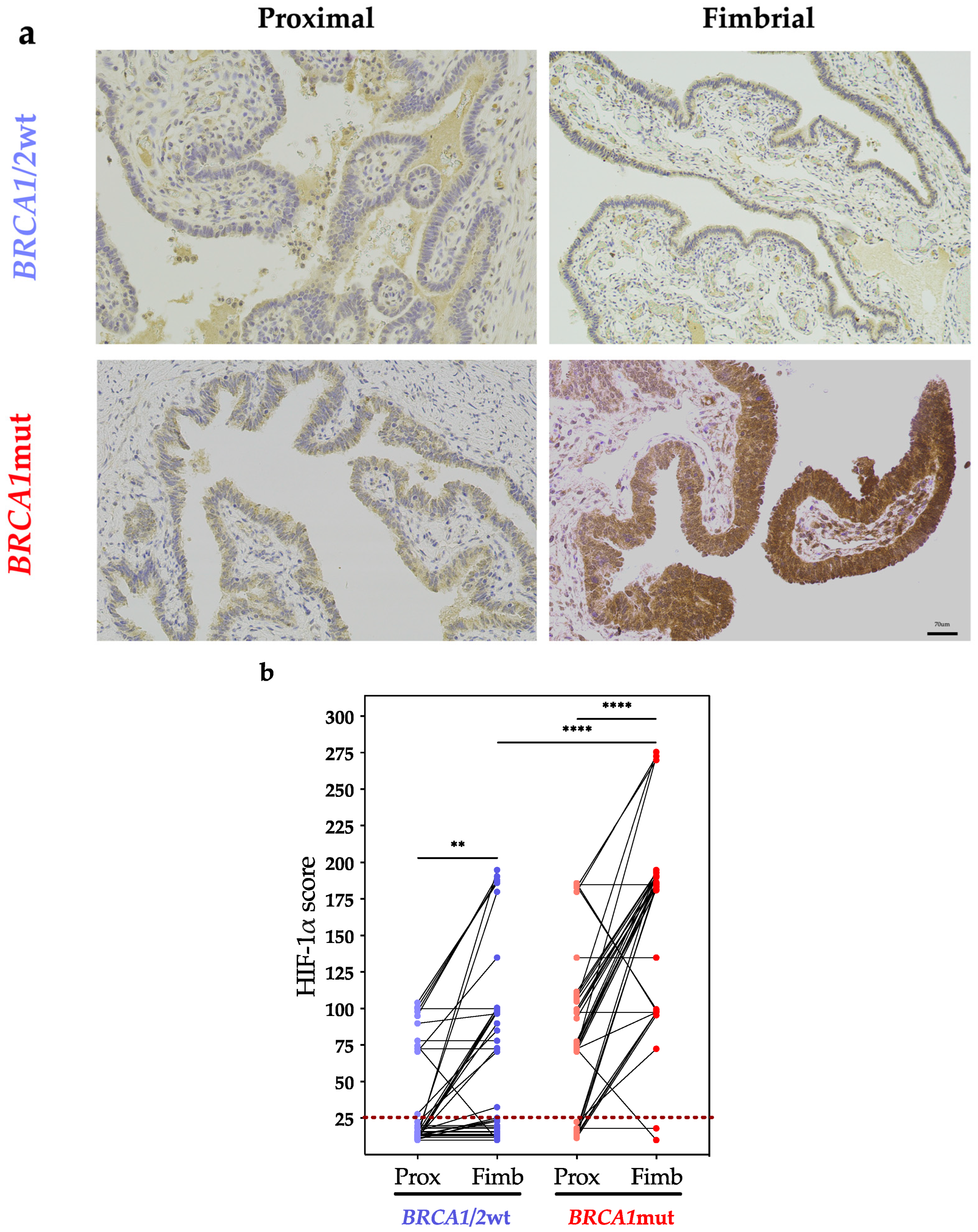 Cancers 16 01186 g002a