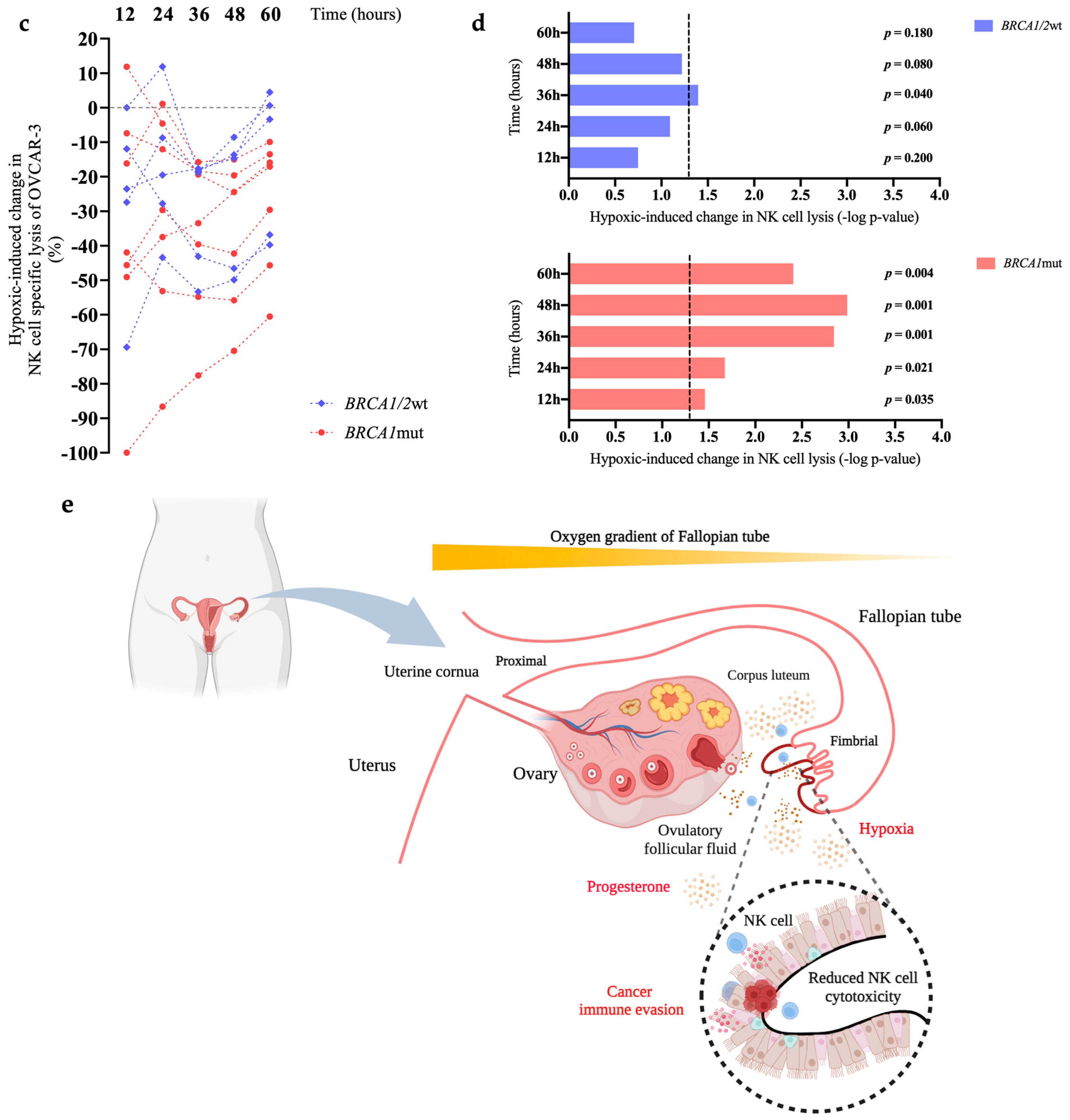 Cancers 16 01186 g002b