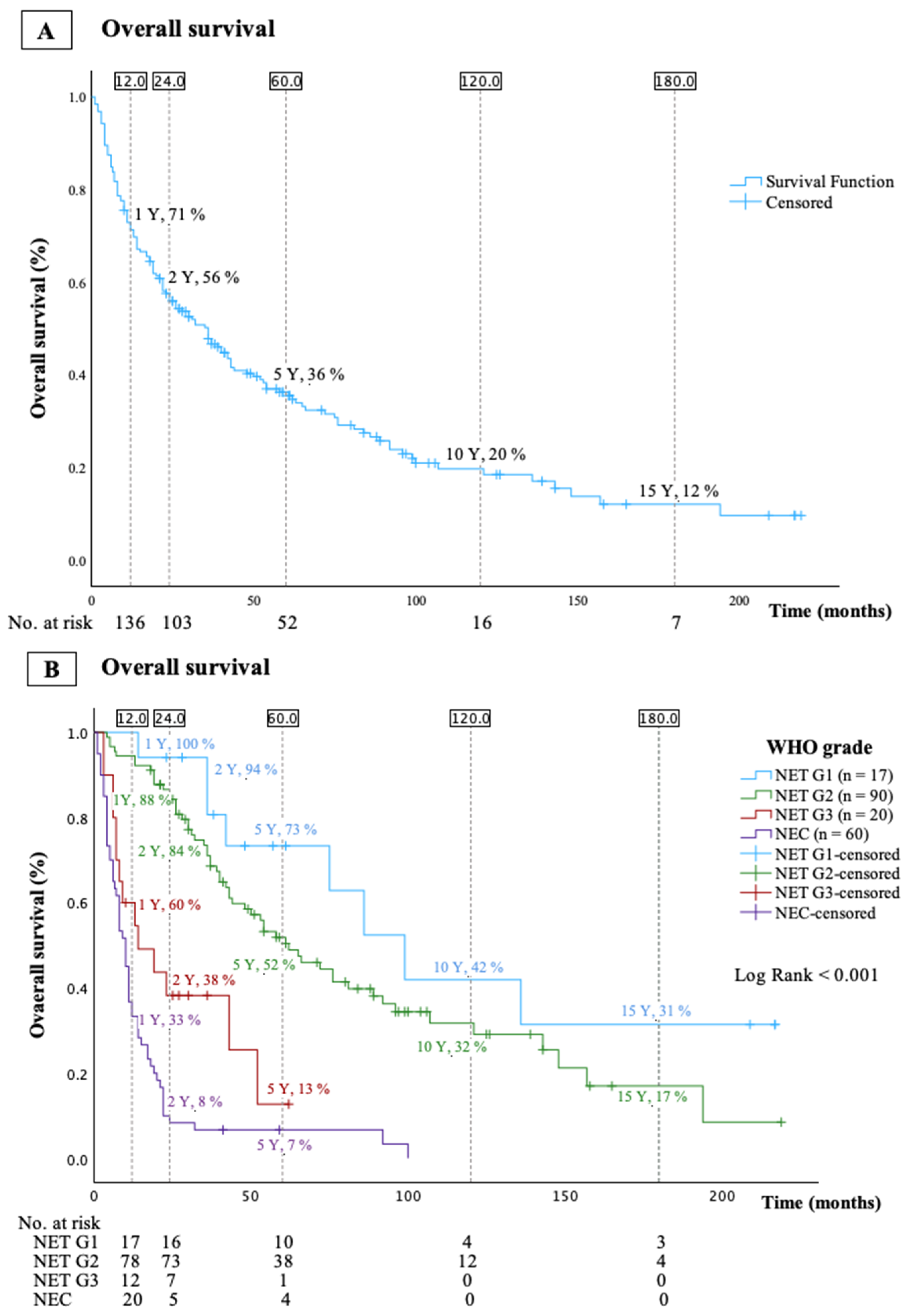 Cancers 16 01190 g001