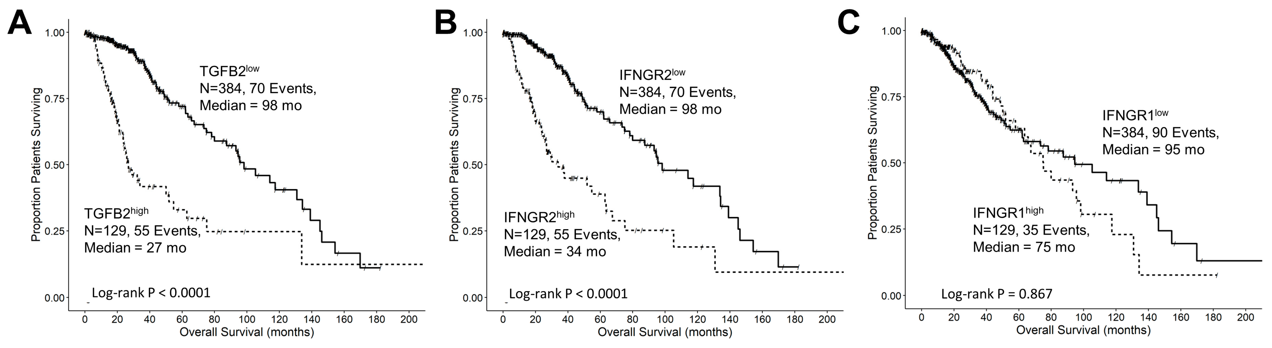 Cancers 16 01202 g002