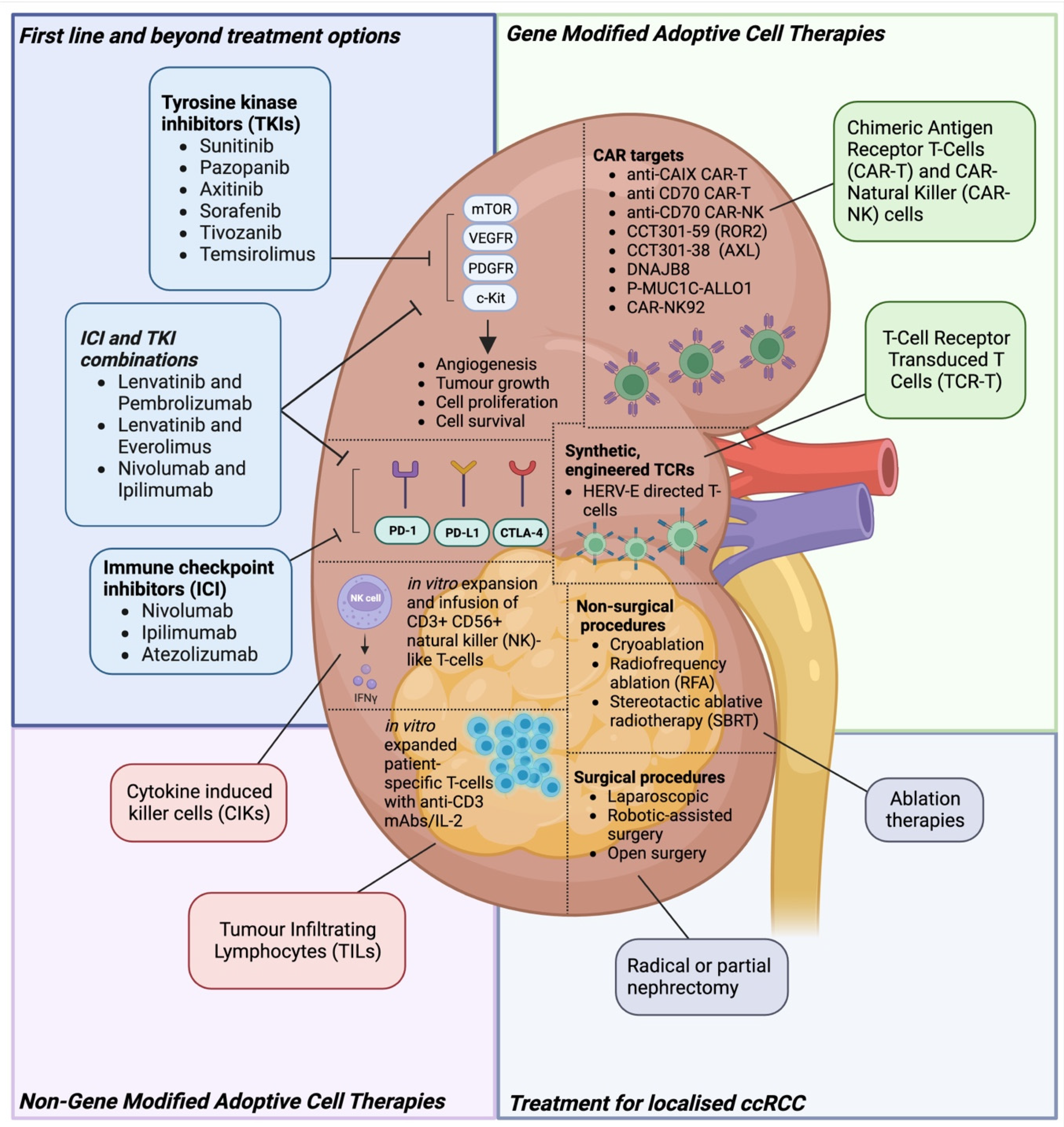Cancers 16 01209 g001
