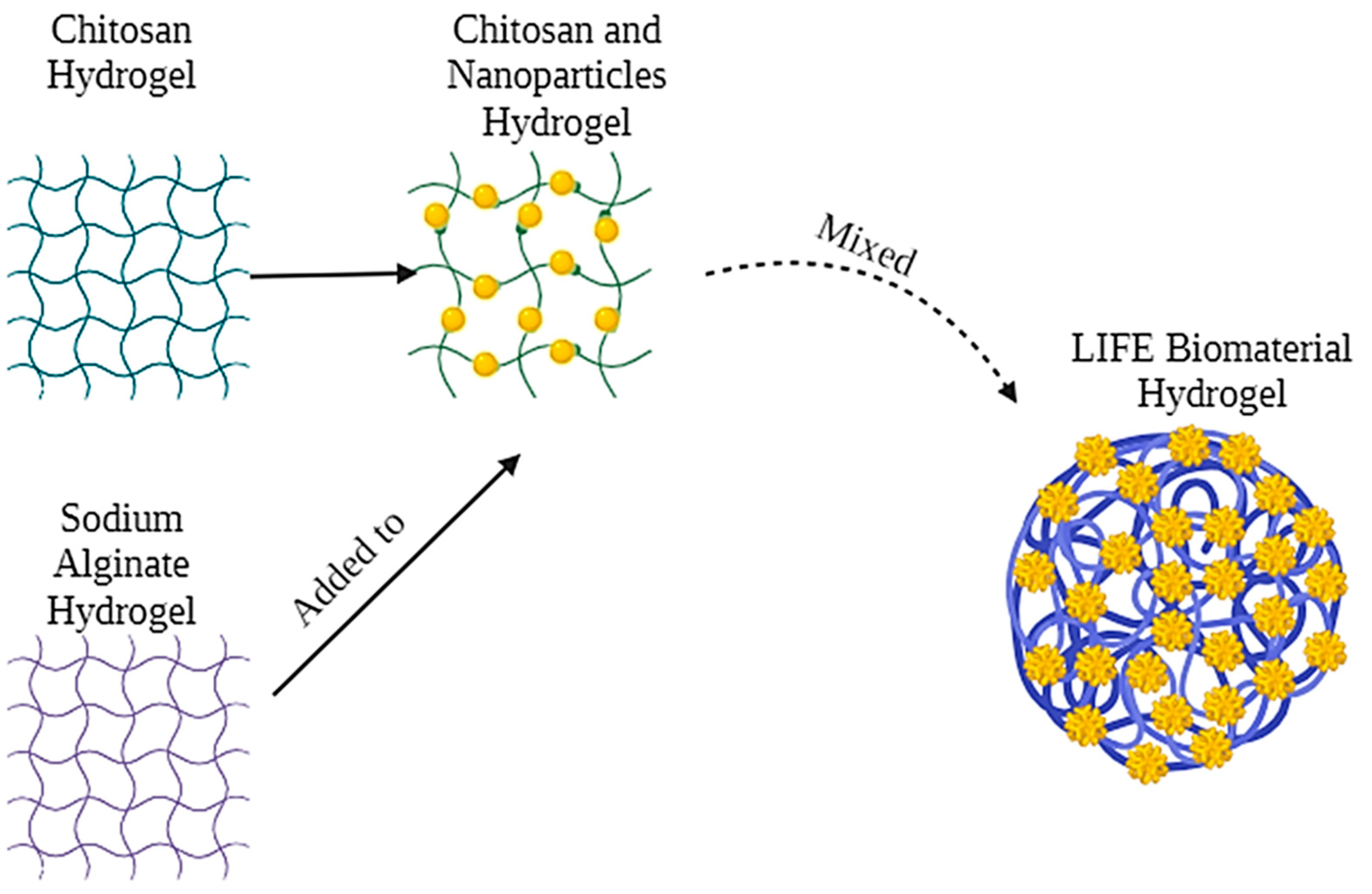 Cancers 16 01212 g001