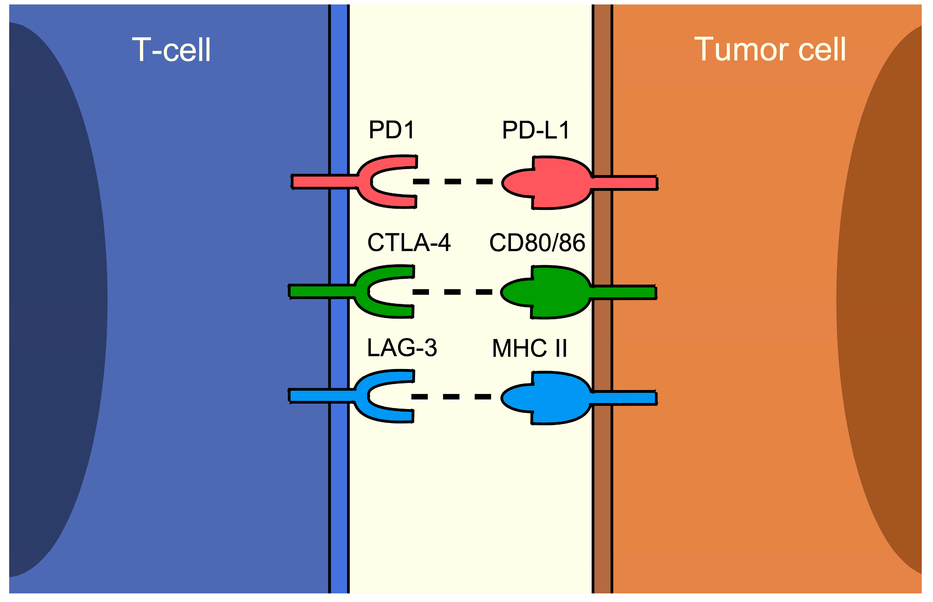 Cancers 16 01225 g001