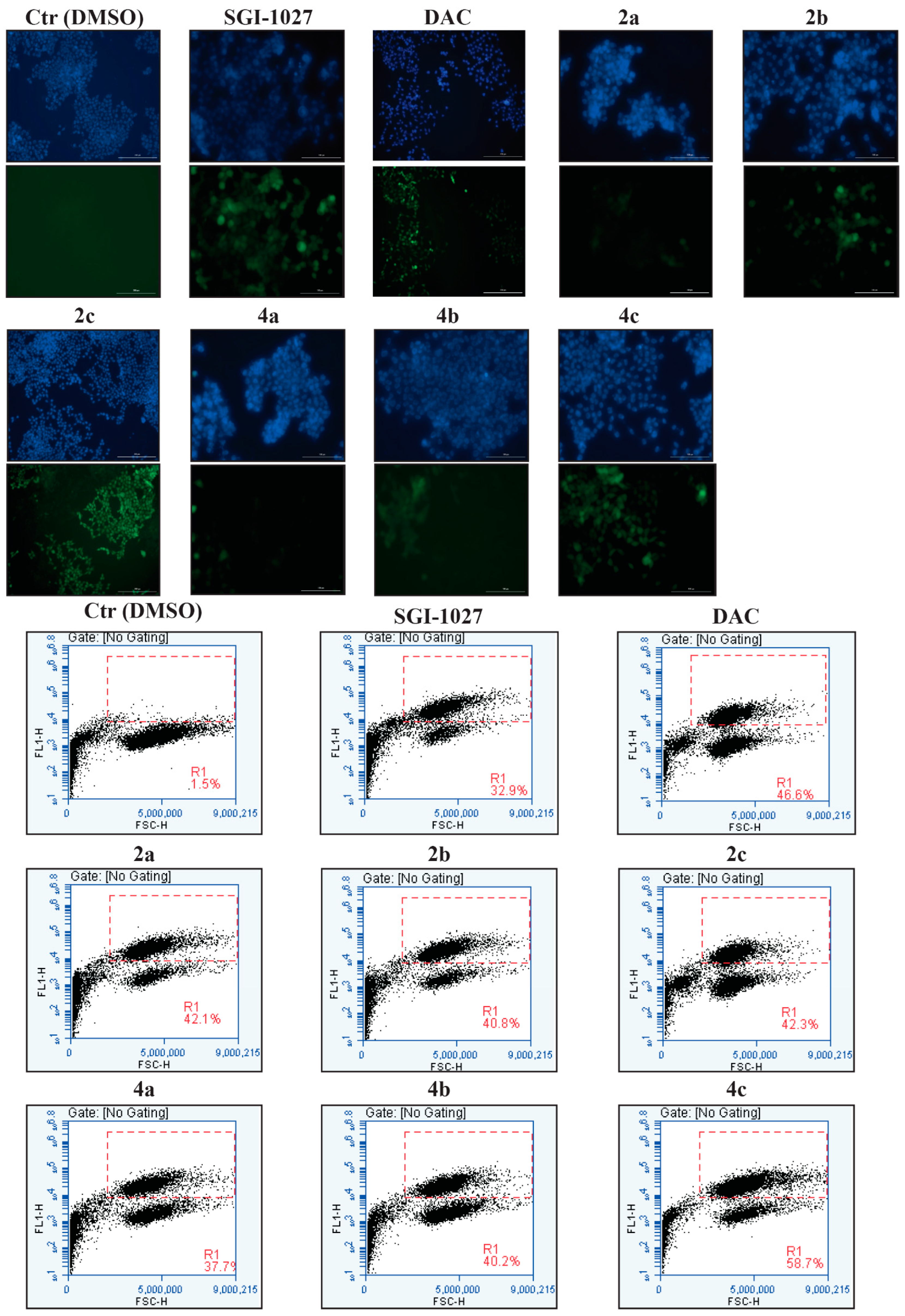 Cancers 16 01230 g007