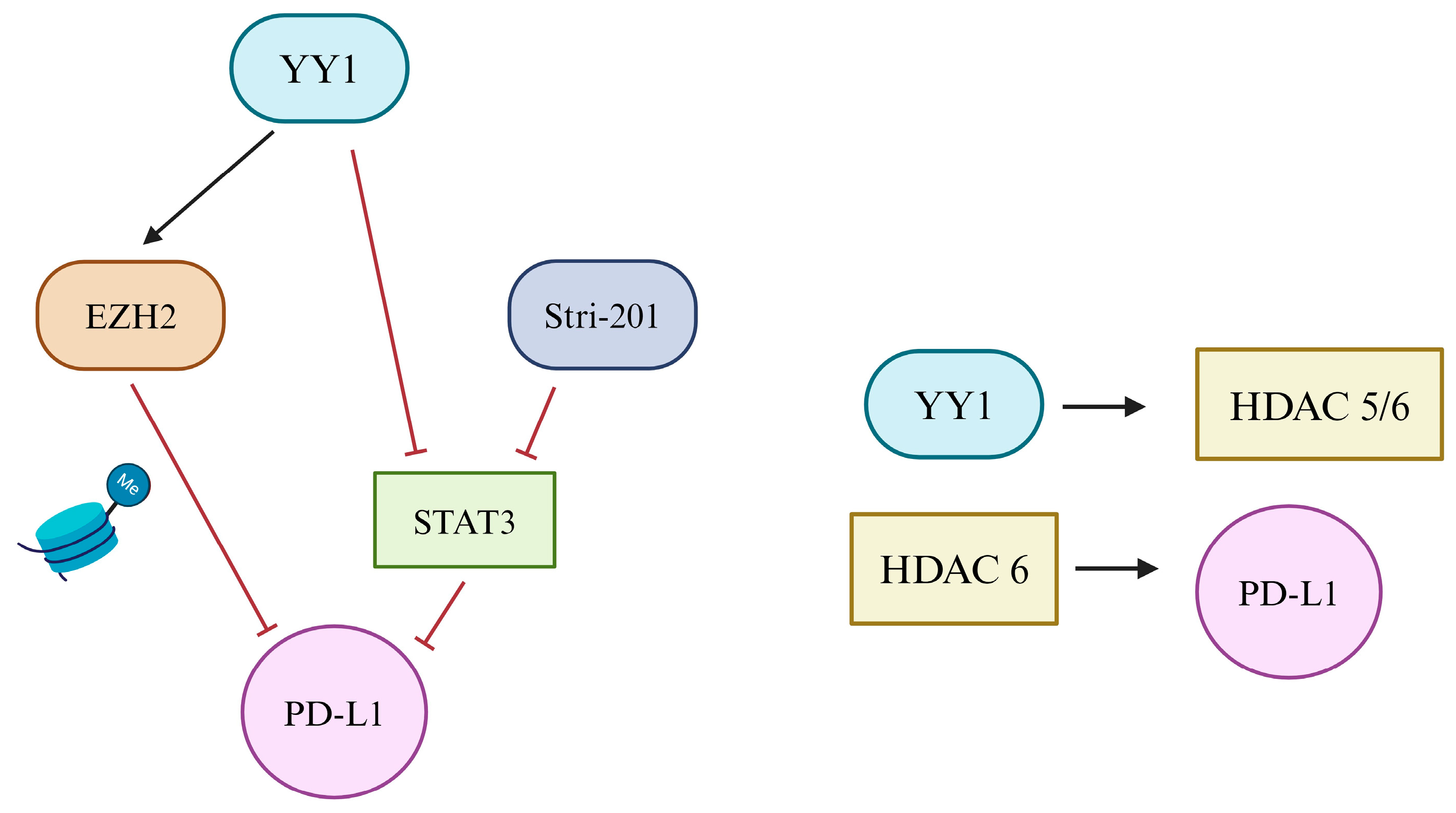 Cancers 16 01237 g004