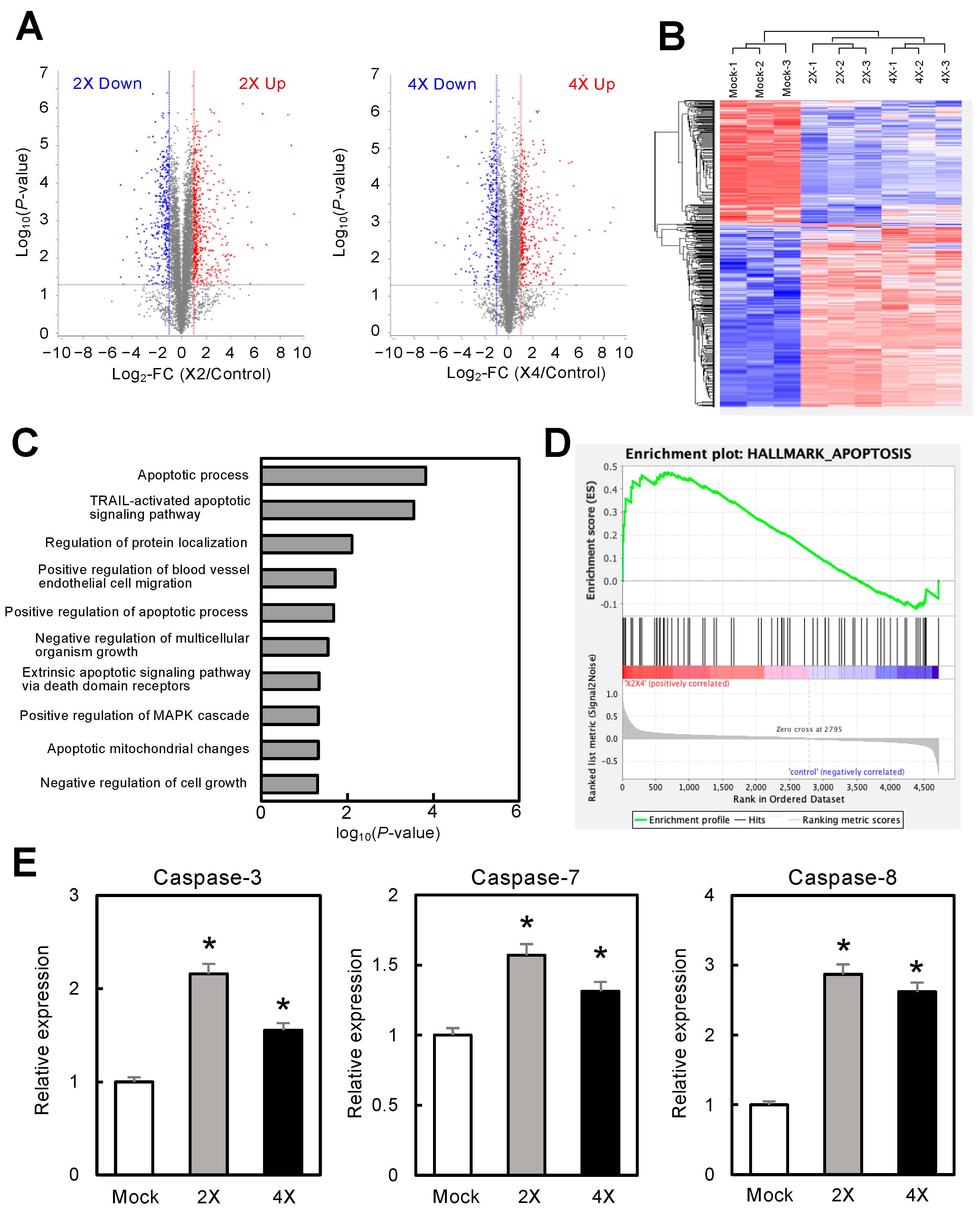Cancers 16 01242 g003 Cancers 16 01242 g003