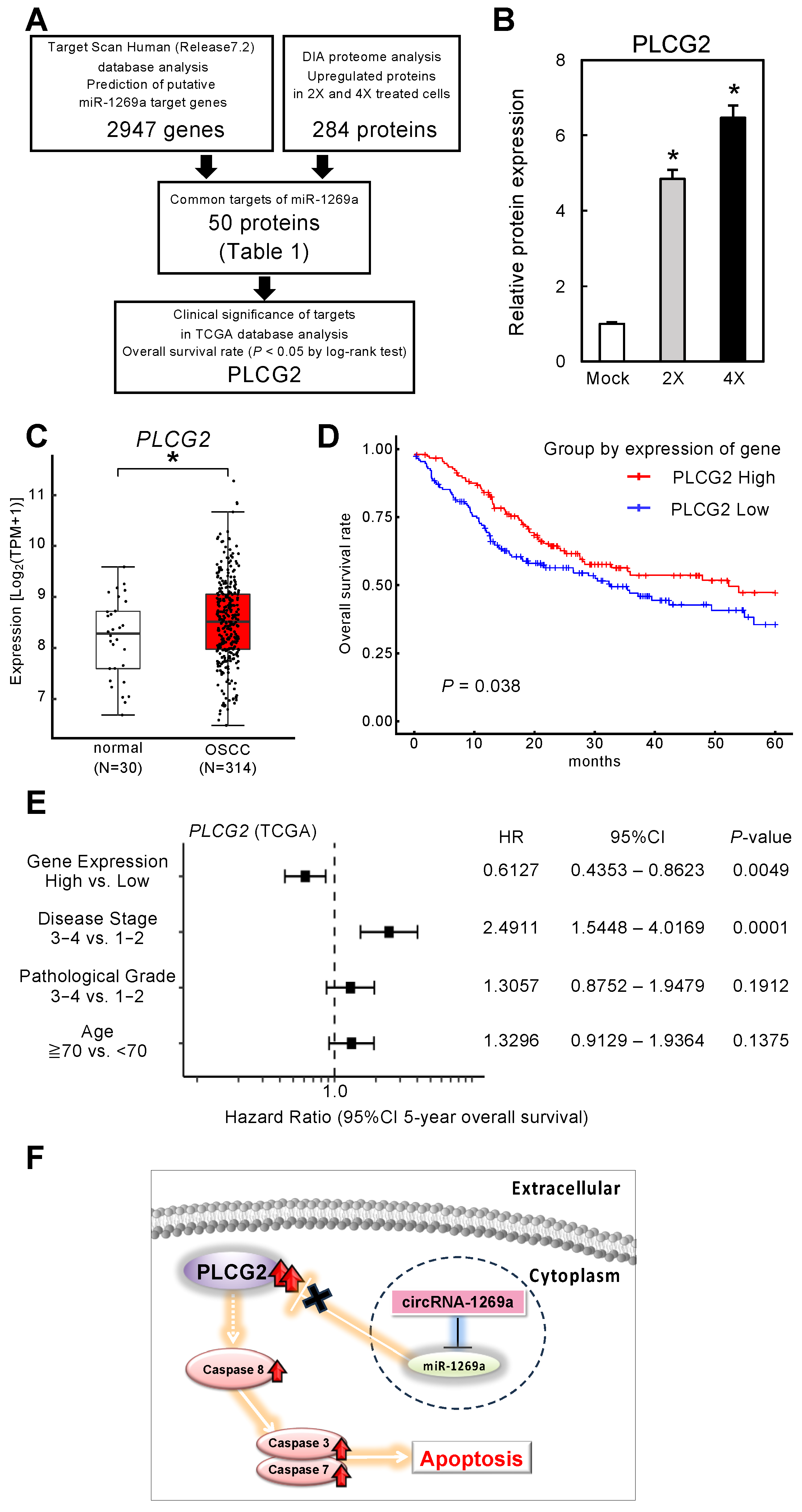 Cancers 16 01242 g004 Cancers 16 01242 g004