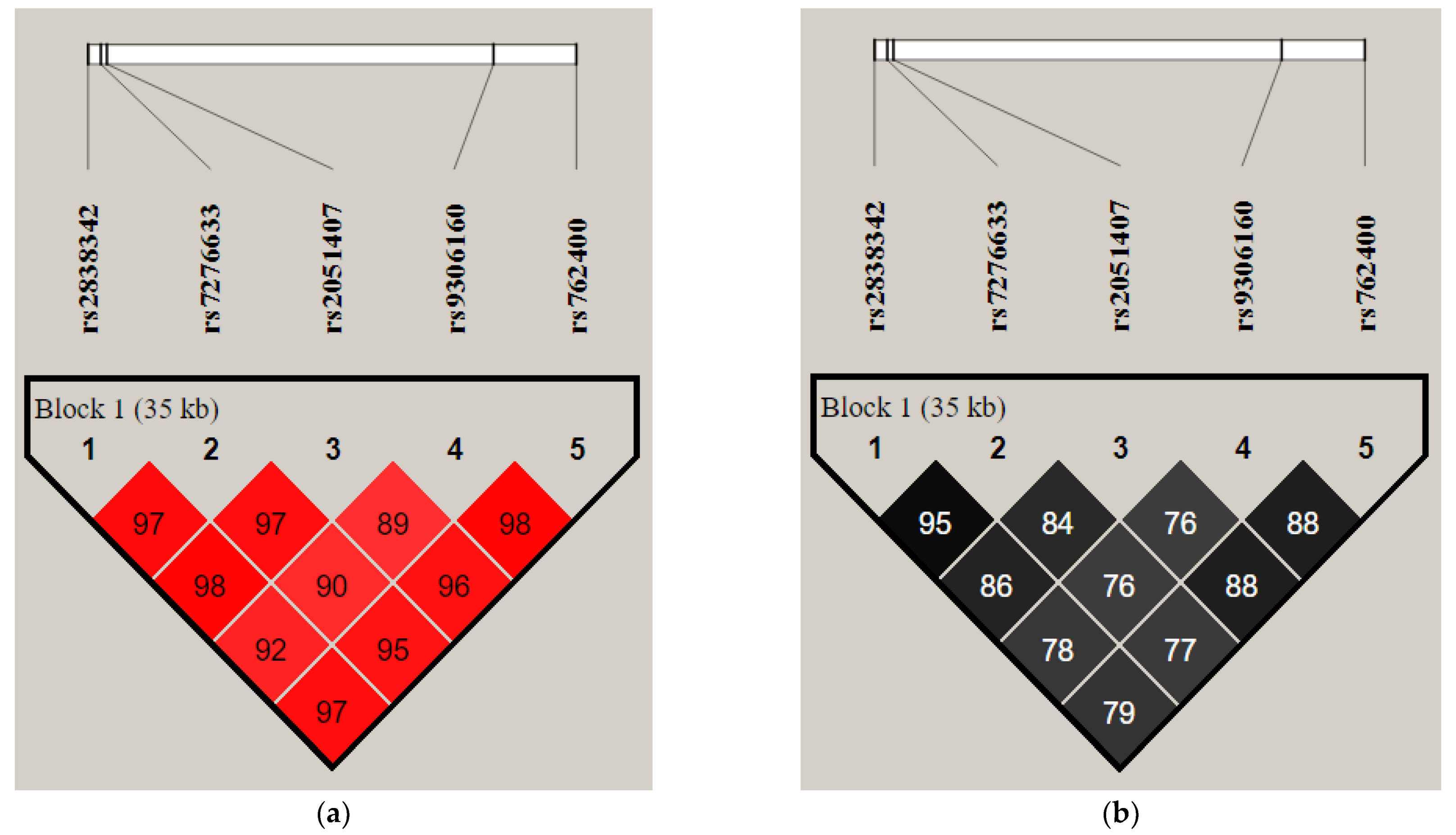 Cancers 16 01250 g001