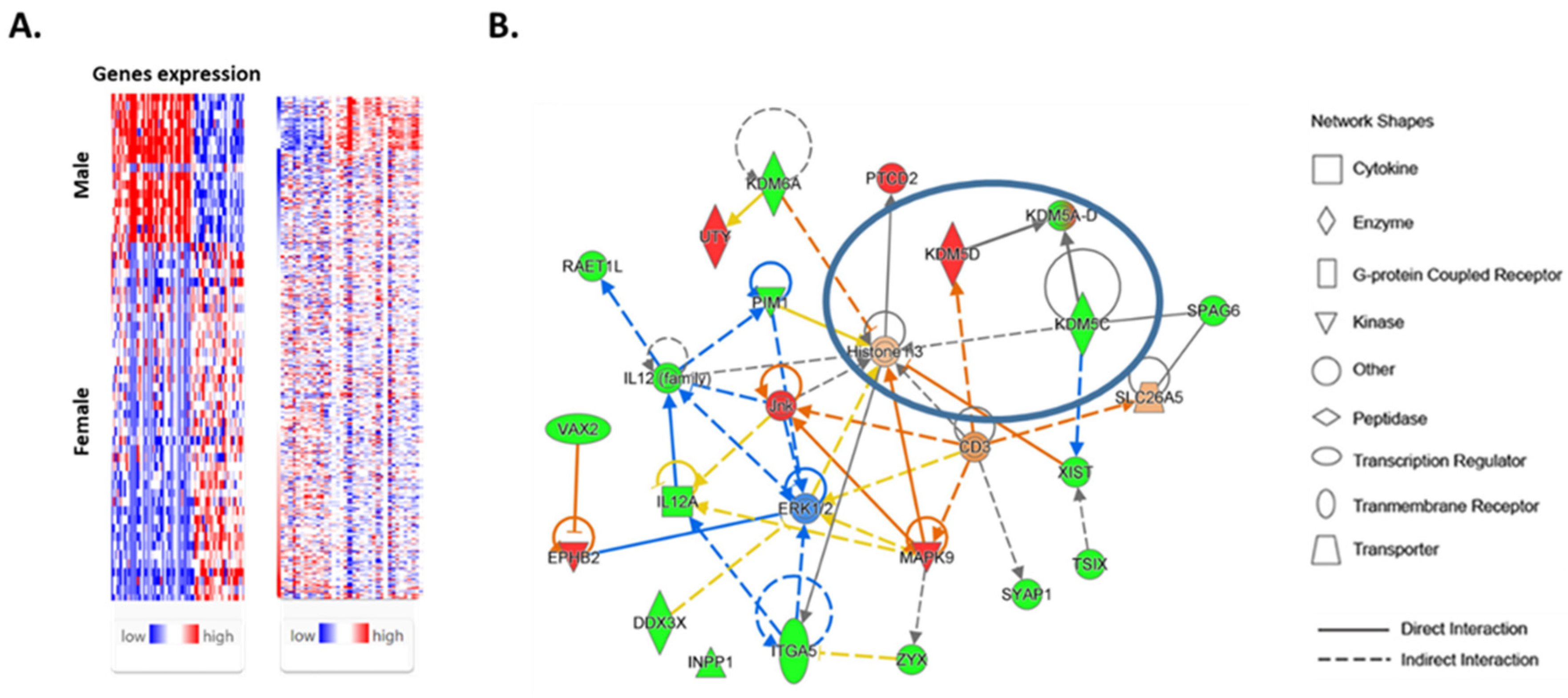 Cancers 16 01260 g001