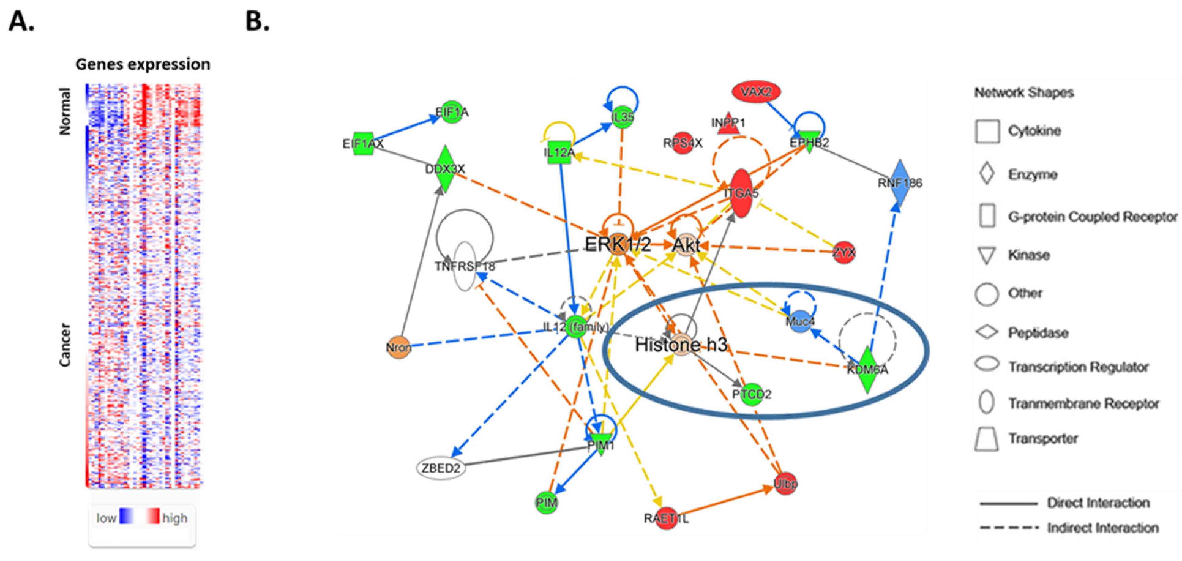 Cancers 16 01260 g002