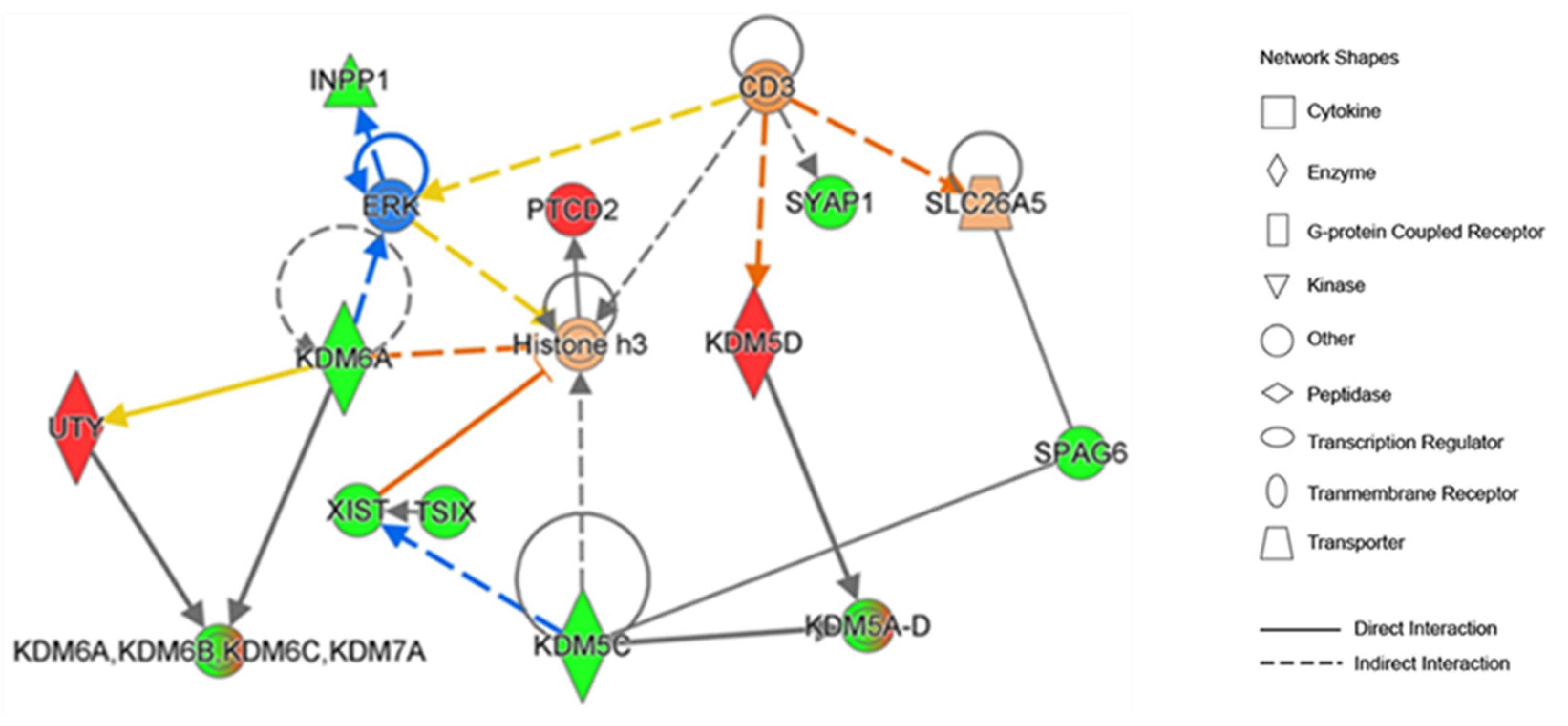 Cancers 16 01260 g004