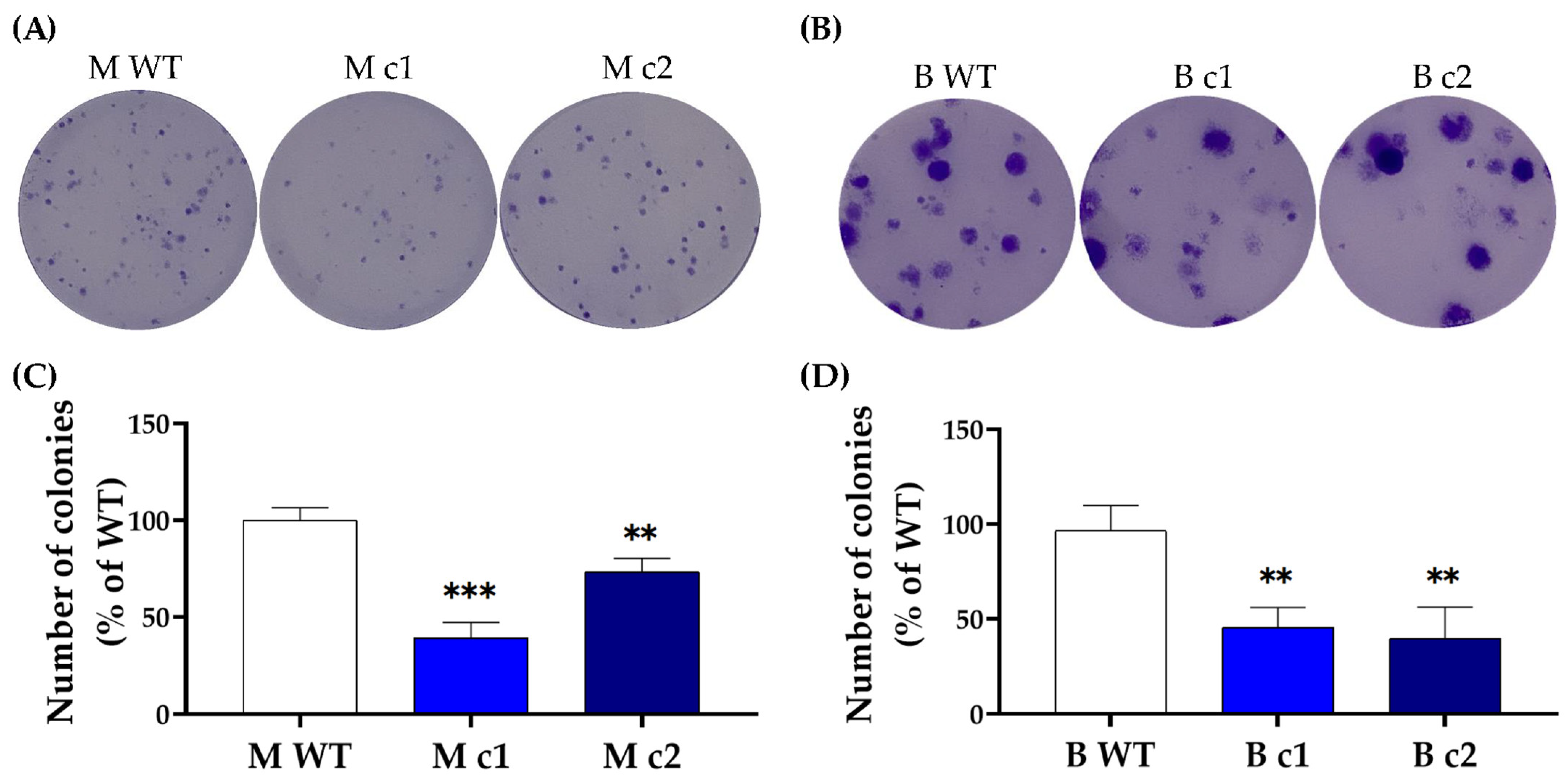 Cancers 16 01269 g002