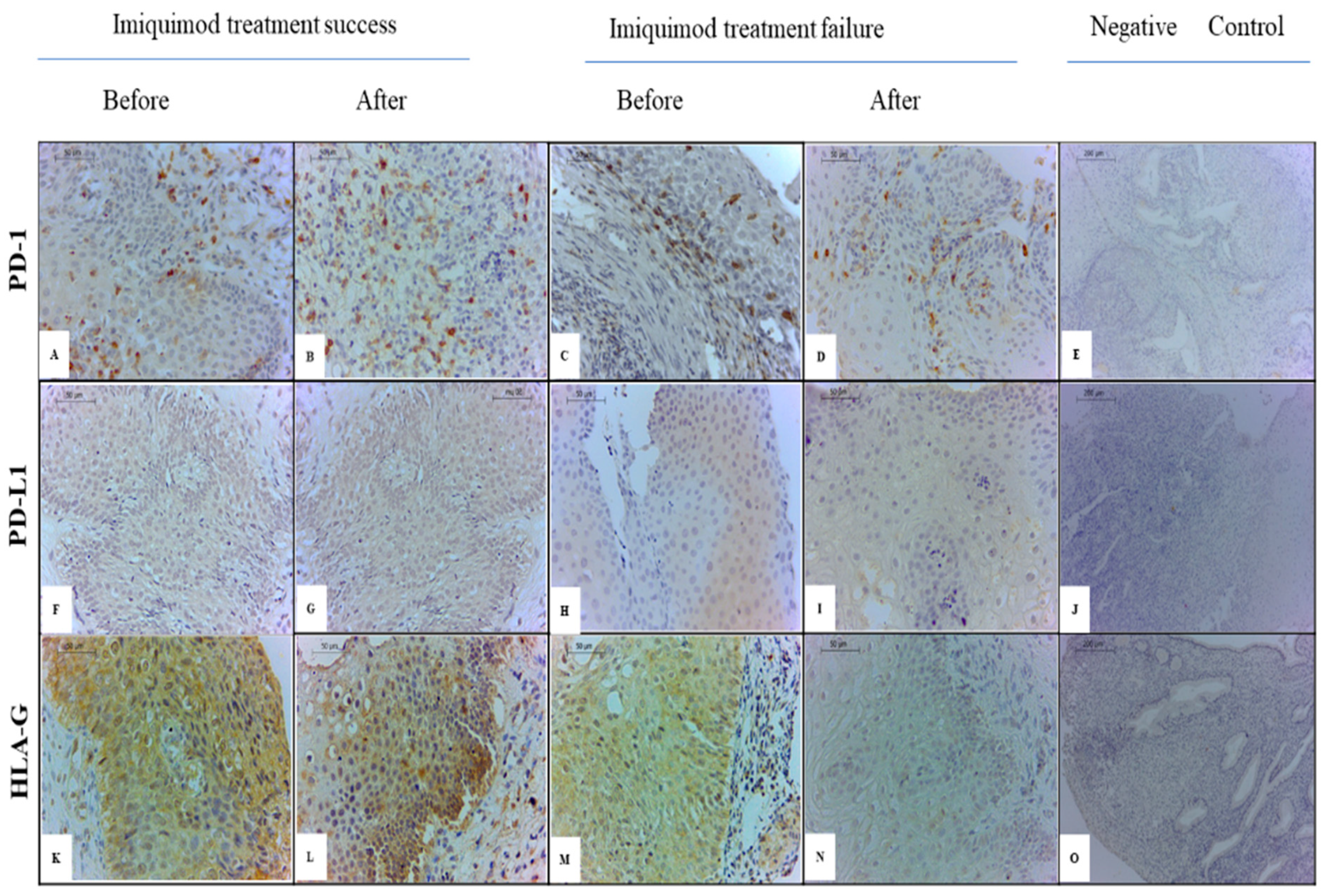 Cancers 16 01272 g001