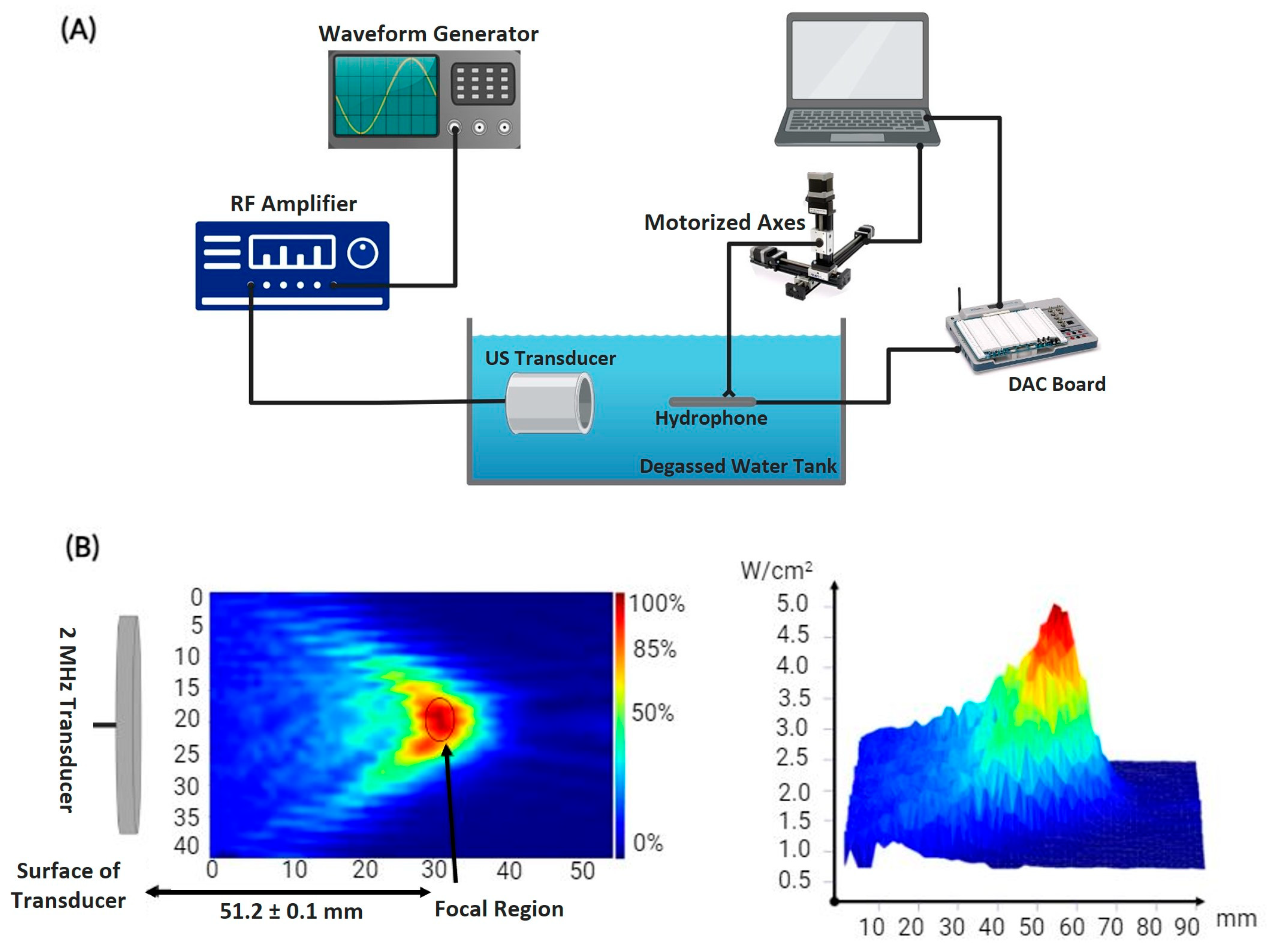 Cancers 16 01274 g001