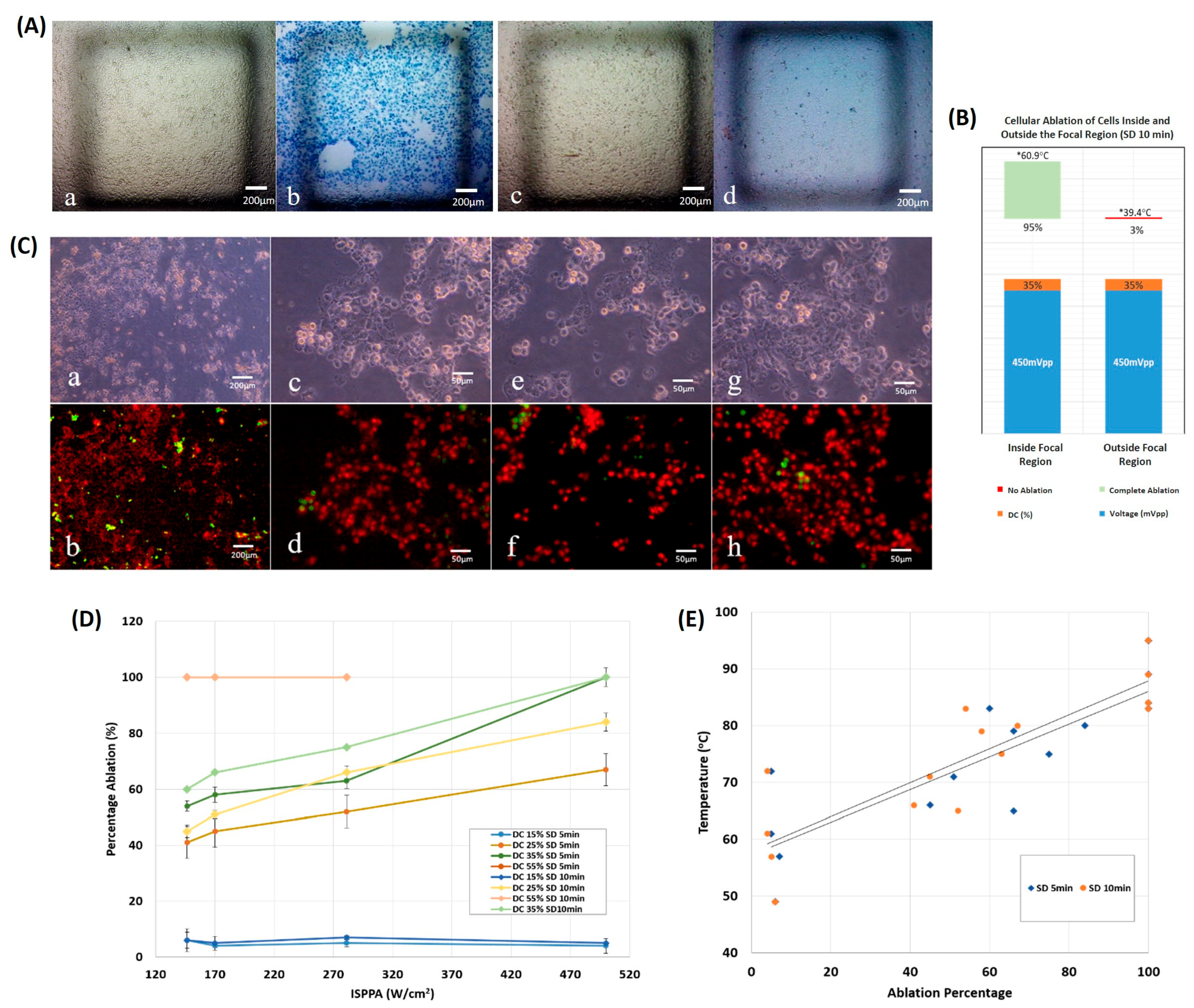 Cancers 16 01274 g005
