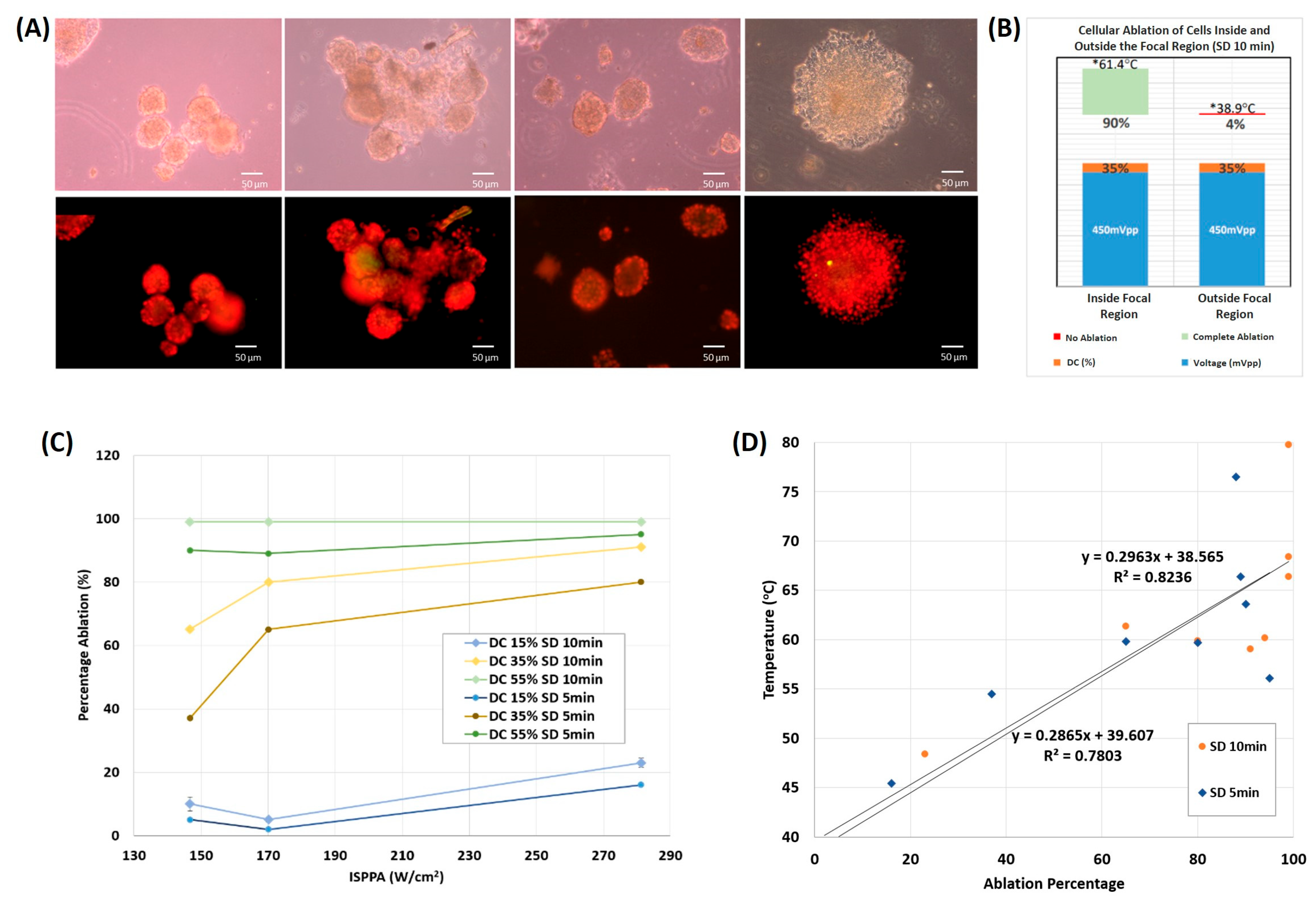 Cancers 16 01274 g006