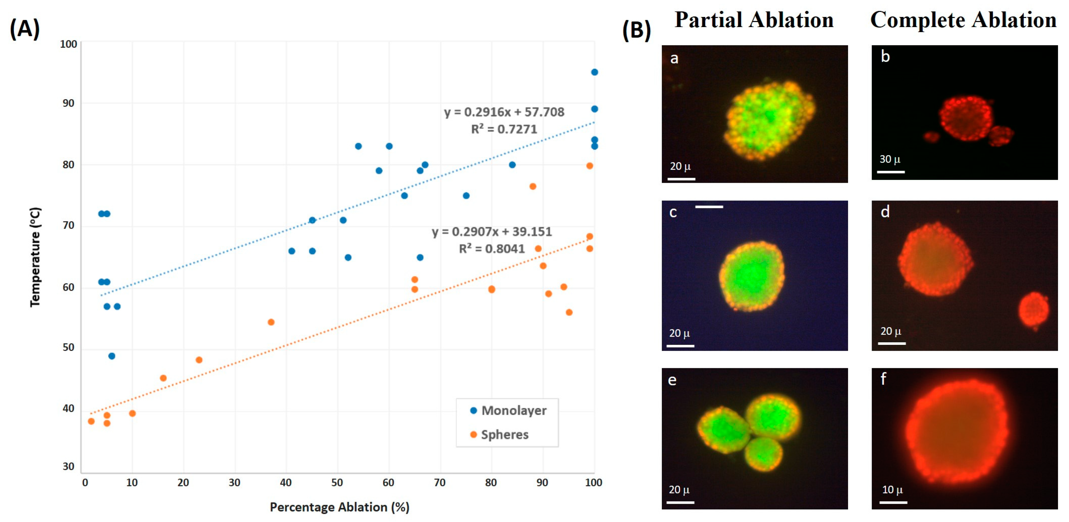 Cancers 16 01274 g007