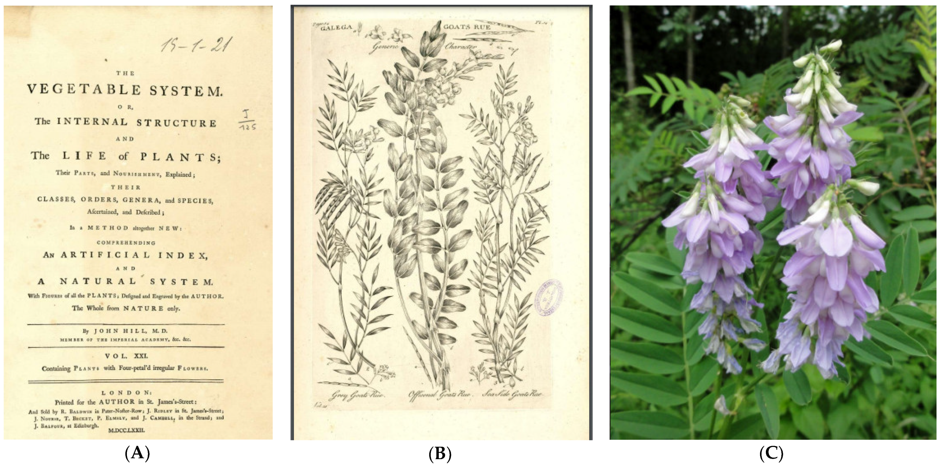 Cancers 16 01287 g002