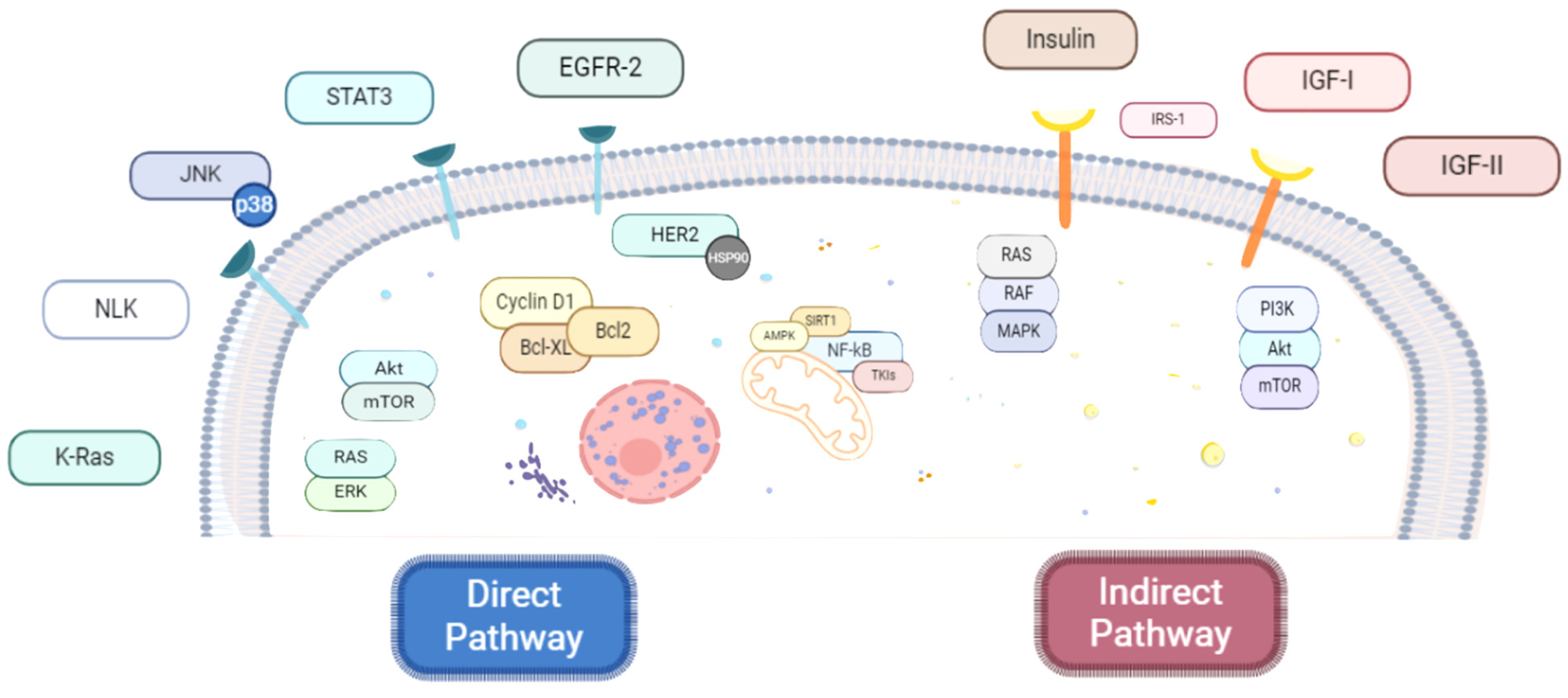 Cancers 16 01287 g004