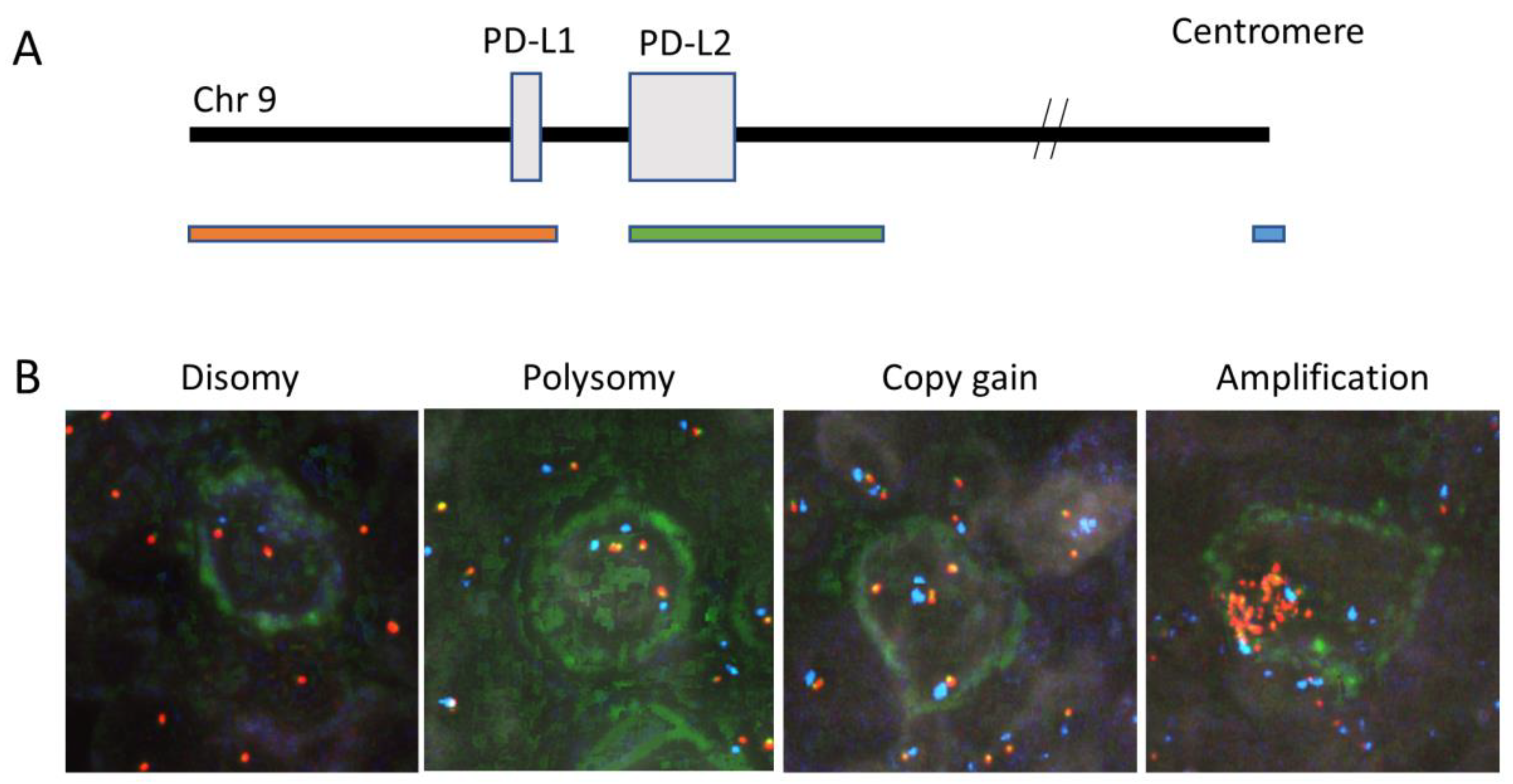 Cancers 16 01298 g002