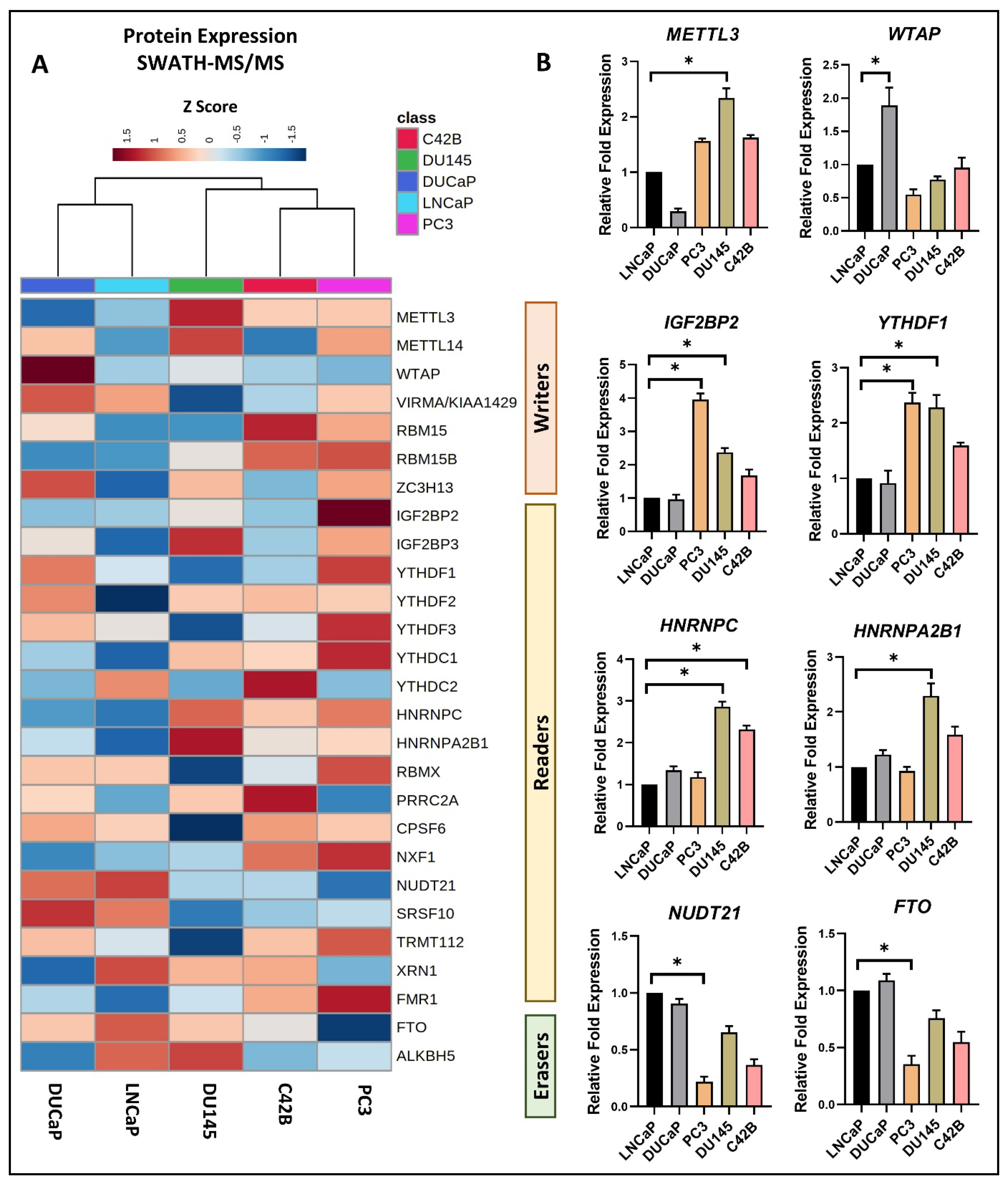 Cancers 16 01303 g001